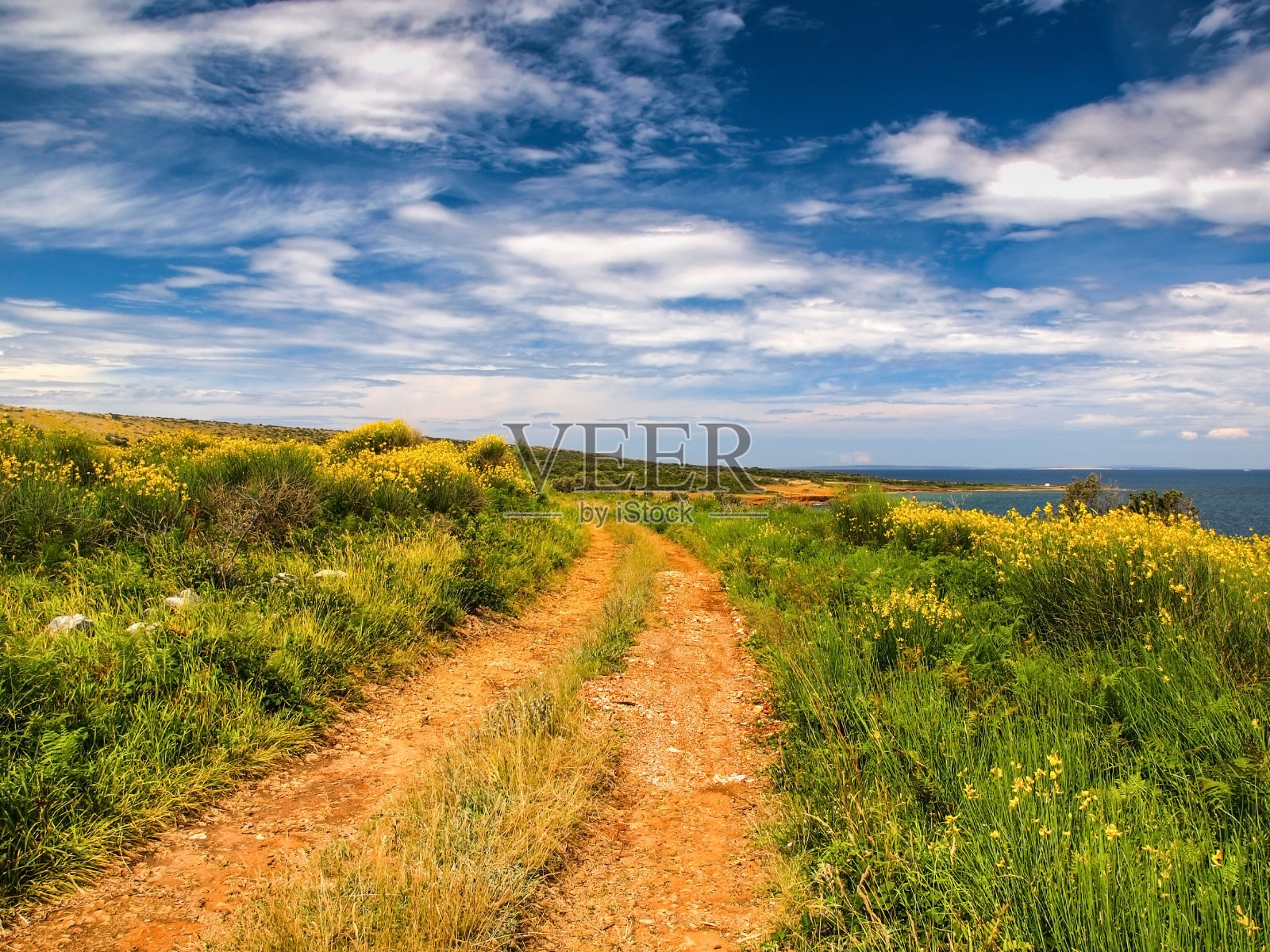 达尔马提亚的春天景色照片摄影图片