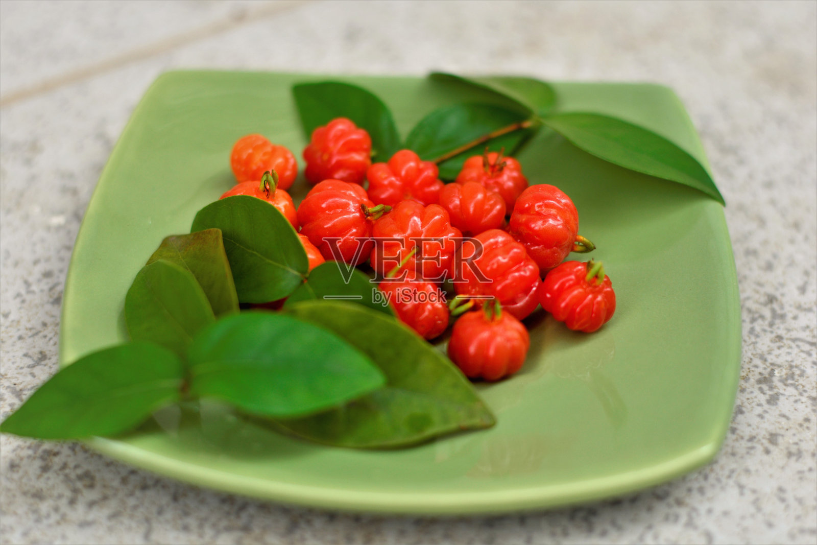 普拉蒂尼奥的尤金妮亚成熟的美丽果实照片摄影图片