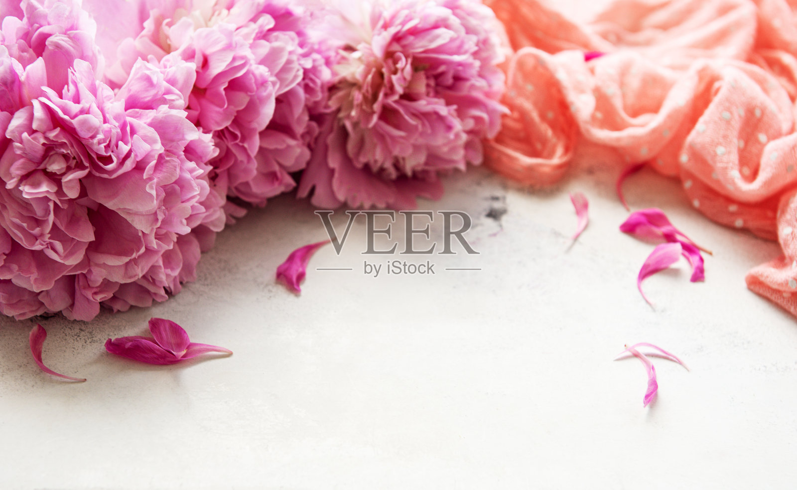 背景,牡丹照片摄影图片