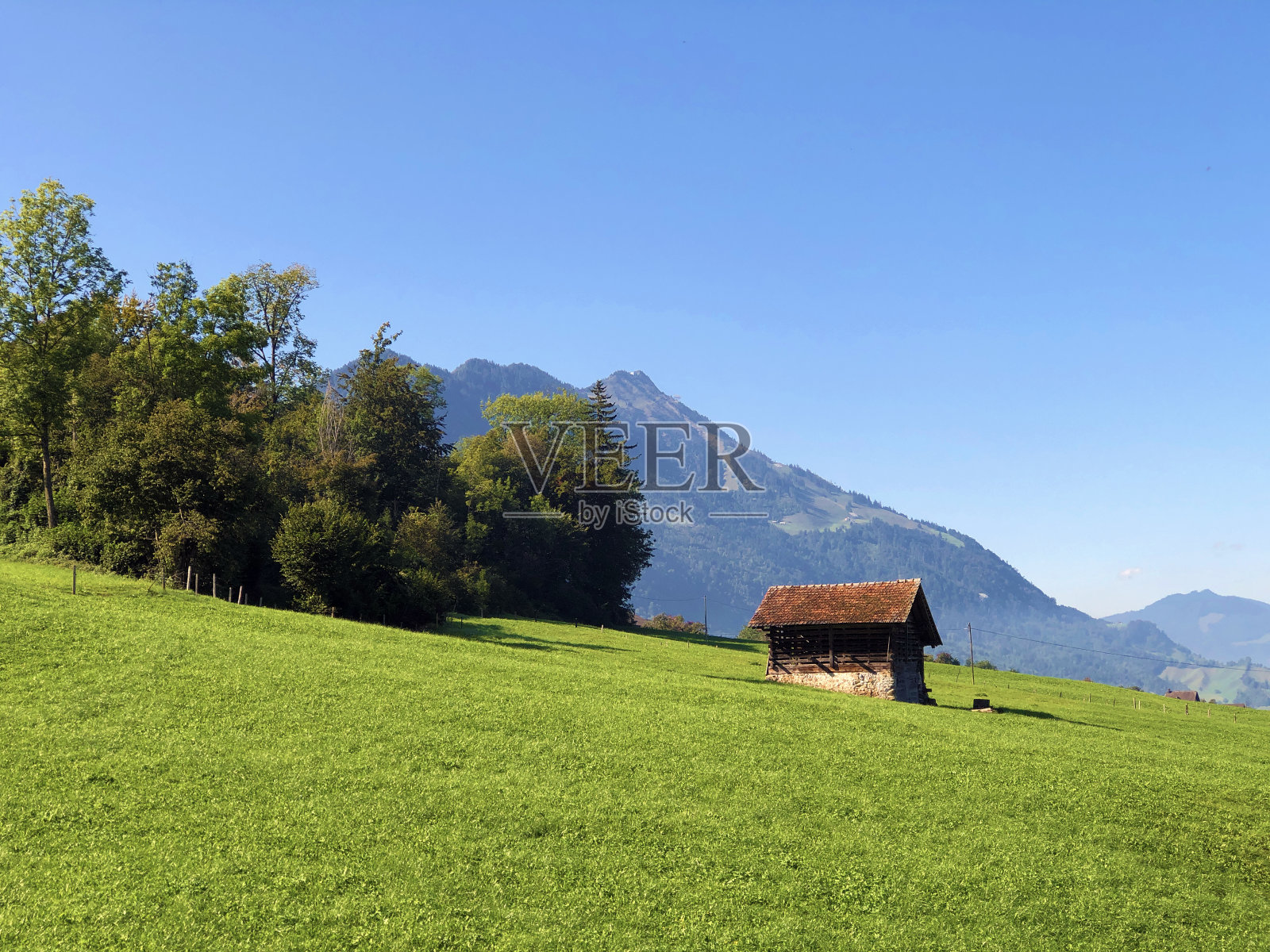布赫斯-尼德瓦尔登州，瑞士布赫斯-尼德瓦尔登州，布赫斯霍恩山山坡和卢塞恩湖或维尔森林国家湖(维尔森林国家湖或Vierwaldsättersee)旁的高山牧场和草地照片摄影图片