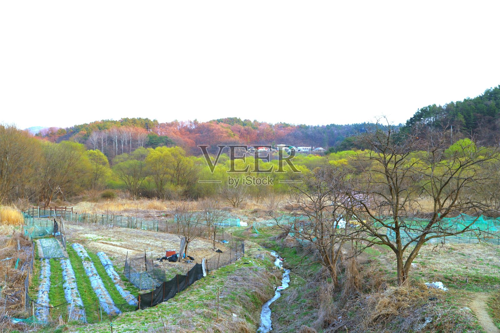 Daecheongho春天的风景照片摄影图片