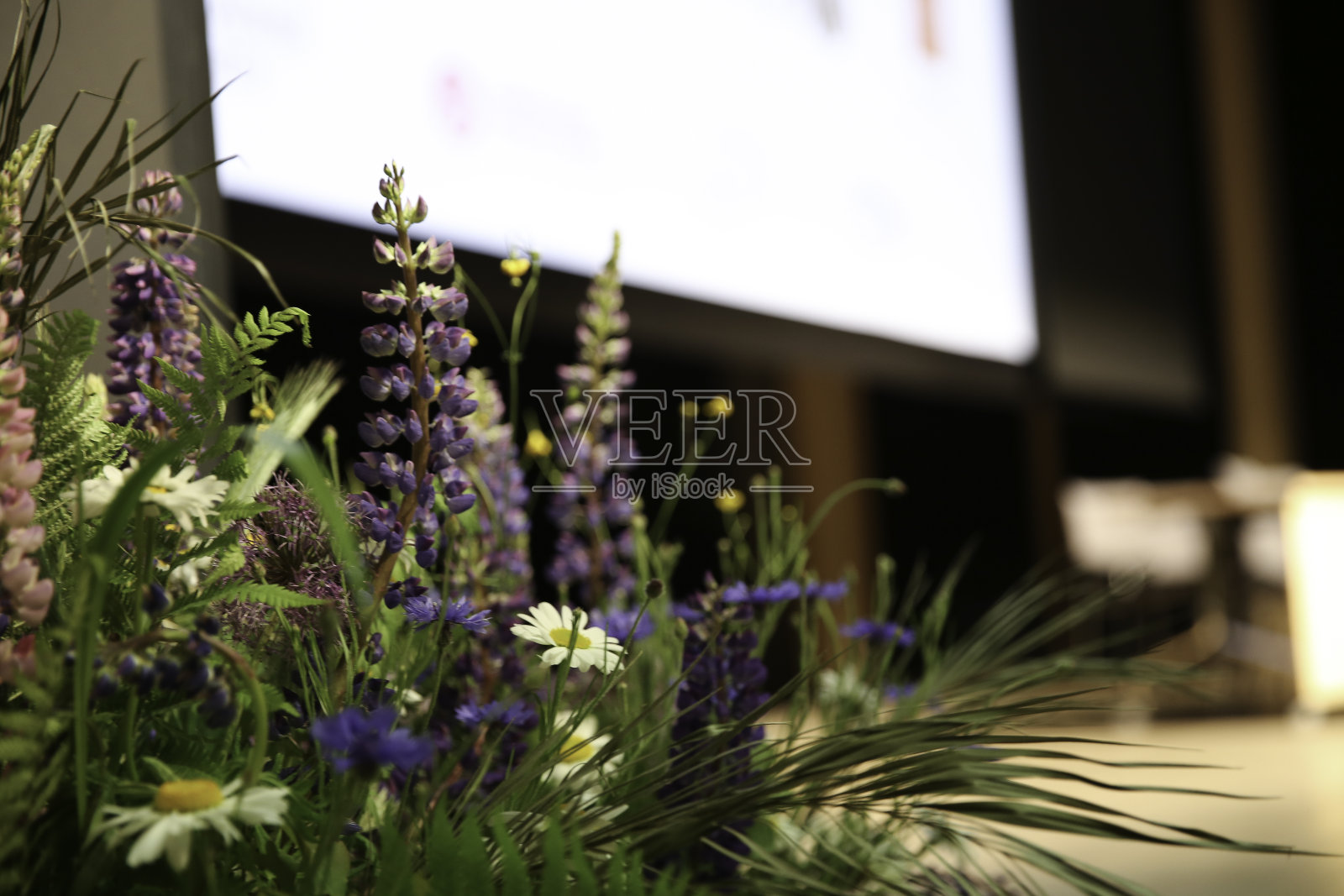 夏日草地上的一束鲜花照片摄影图片