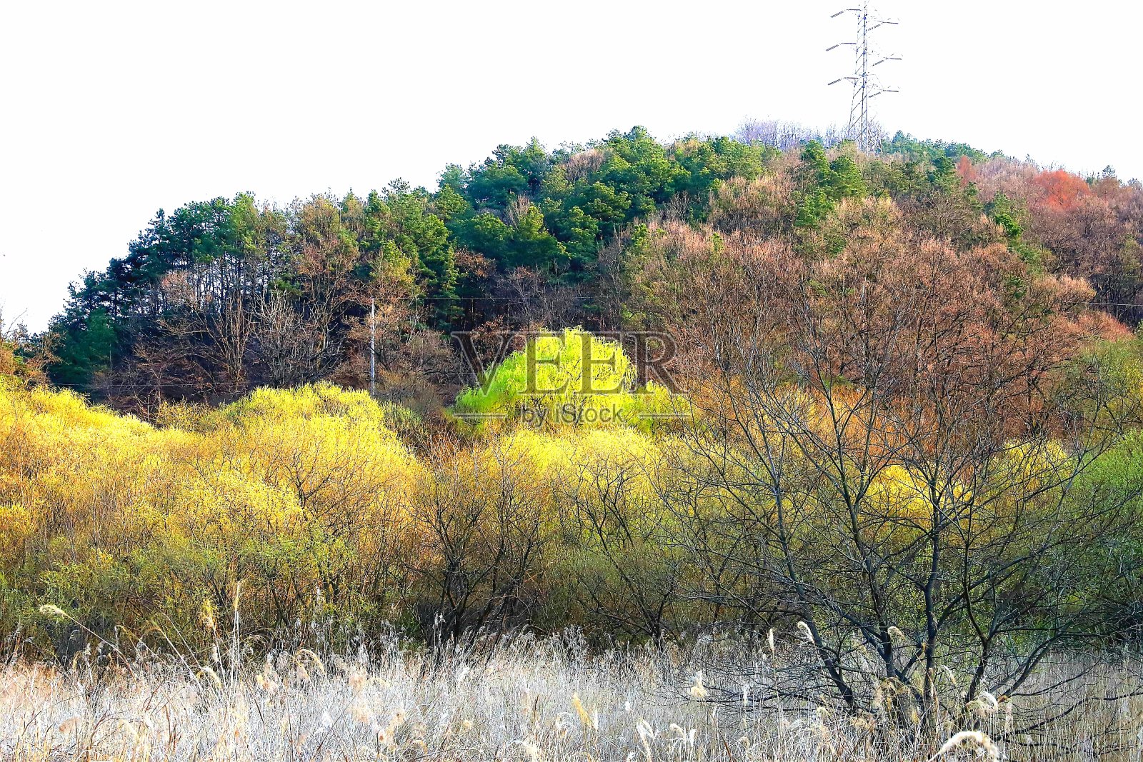 VH560-000-大川浩跳风景1.jpg照片摄影图片