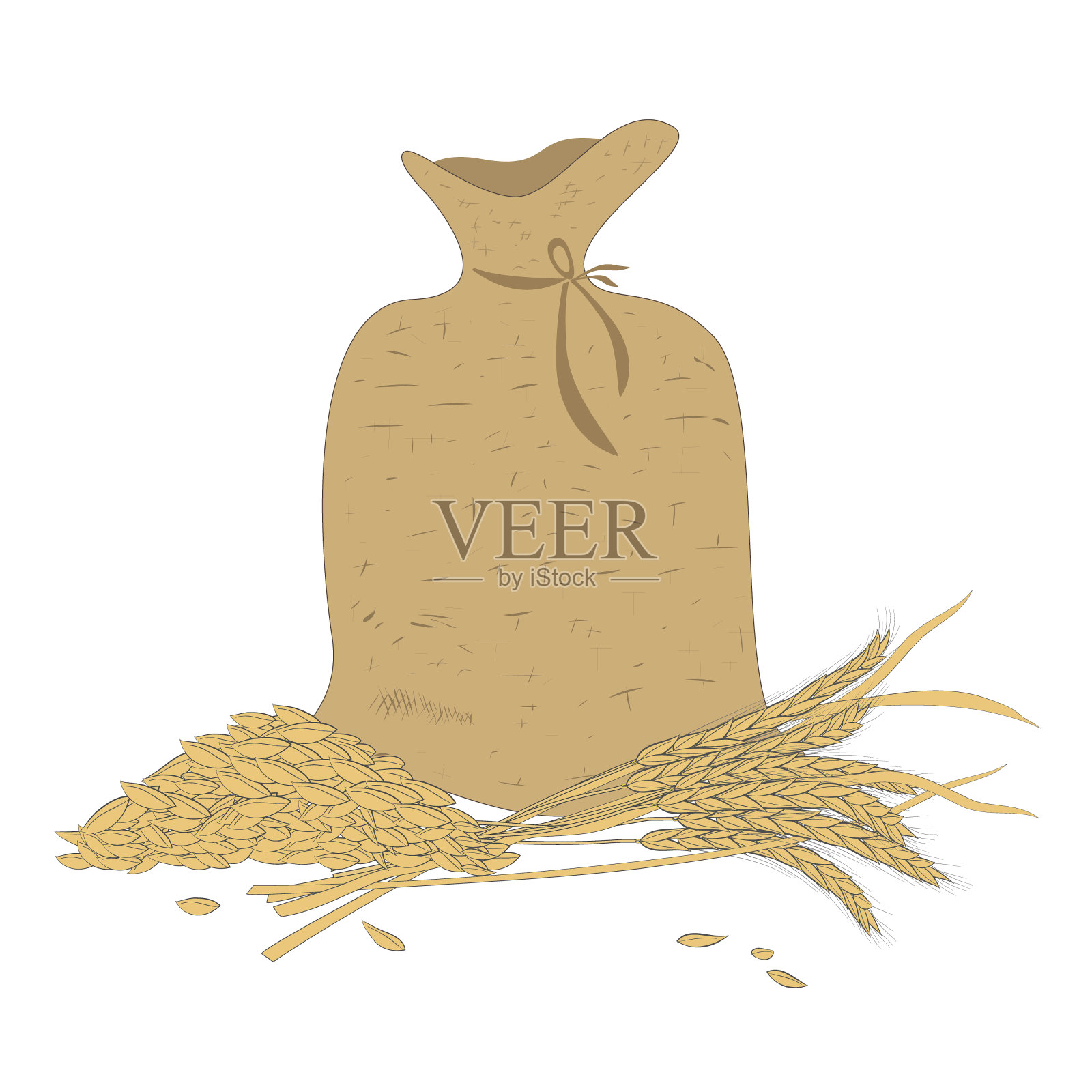 矢量构成上的小麦作物主题上的白色背景插画图片素材