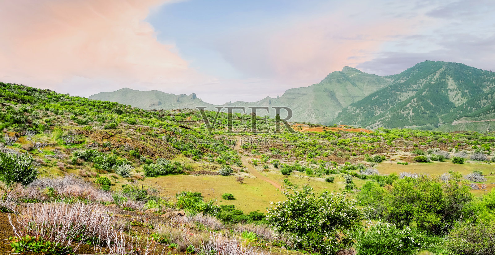 骑士和他们的马在特内里费的火山小径上照片摄影图片