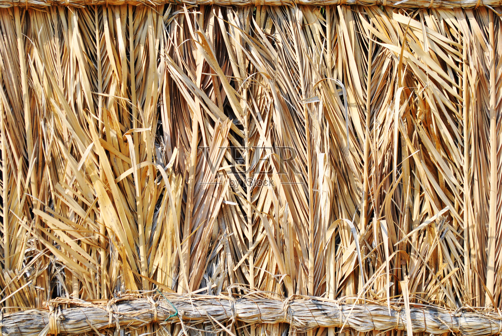 棕榈叶纹理背景照片摄影图片