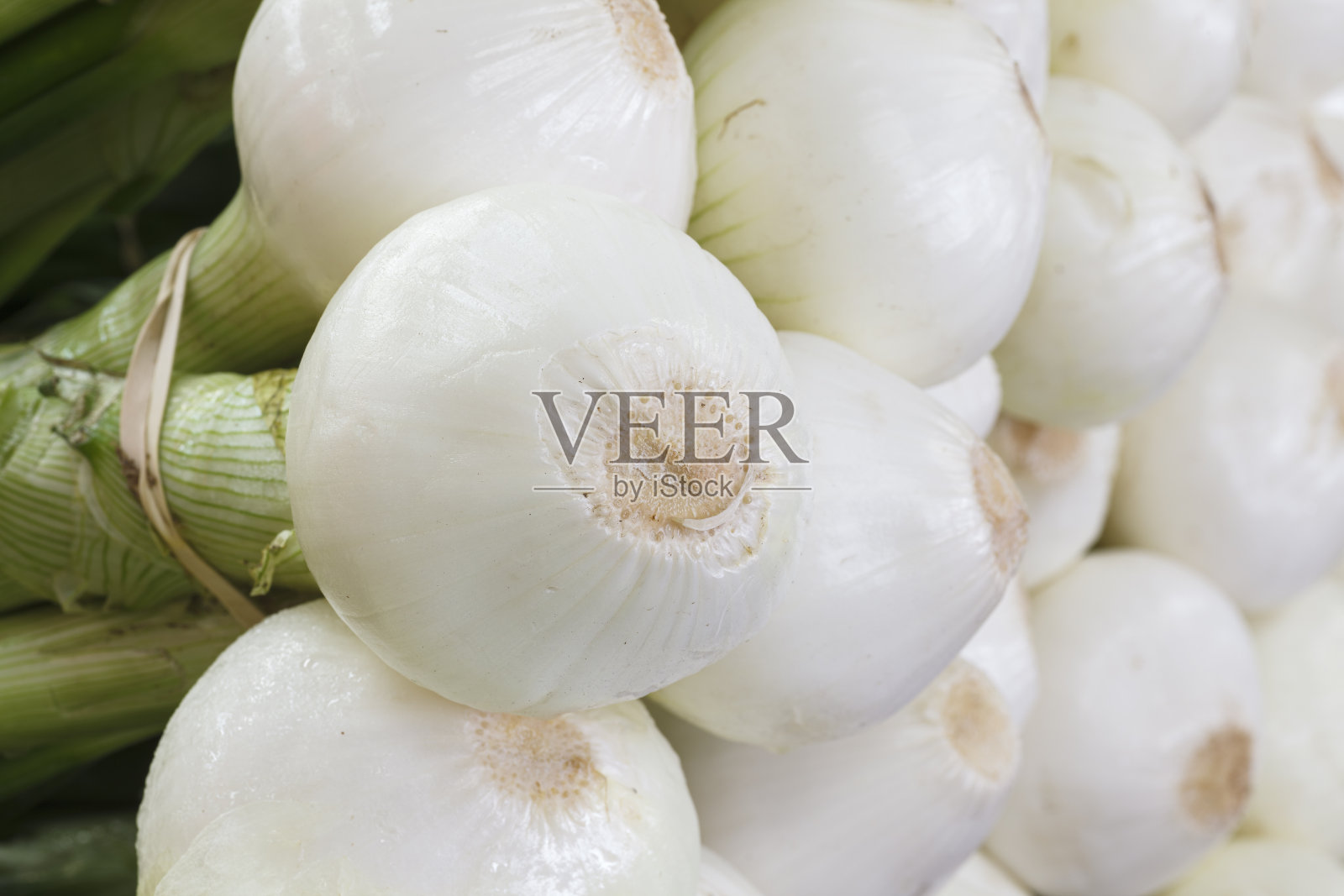 新鲜洋葱照片摄影图片