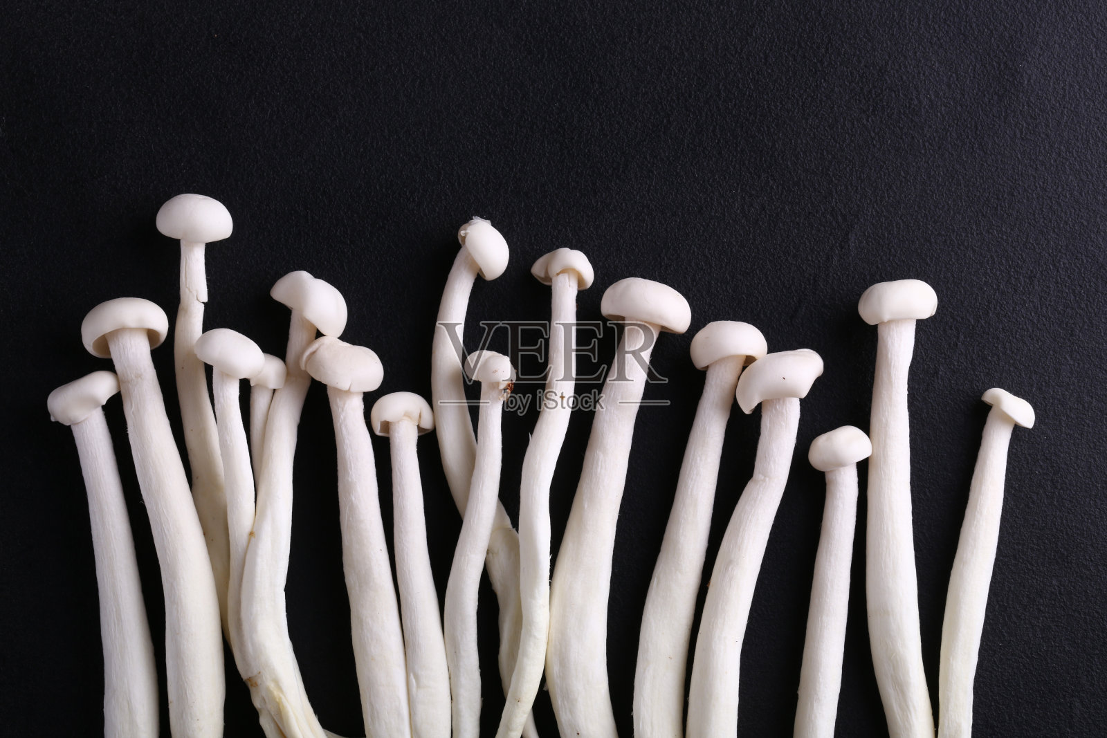 天然有机蘑菇照片摄影图片