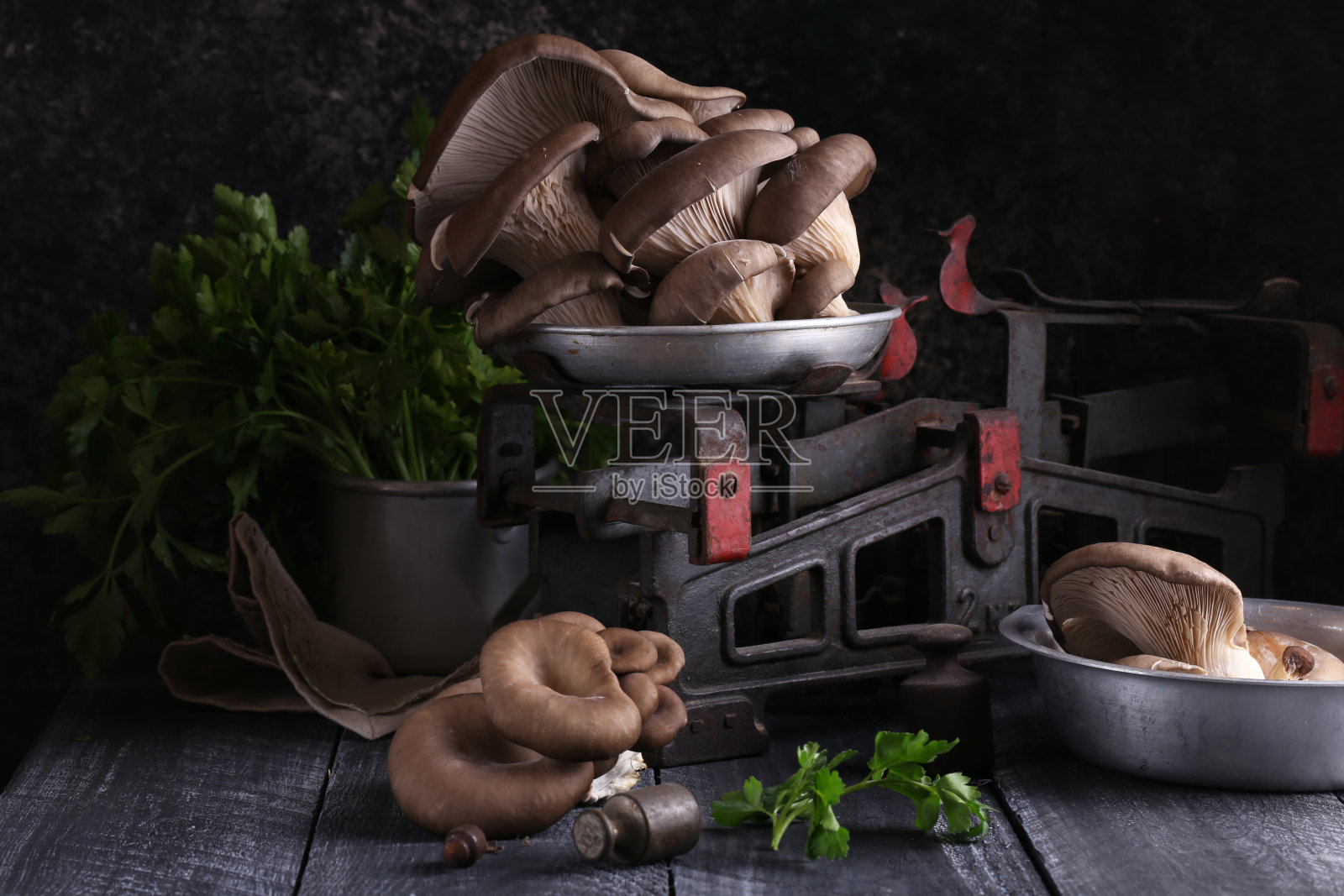 天然有机蘑菇照片摄影图片