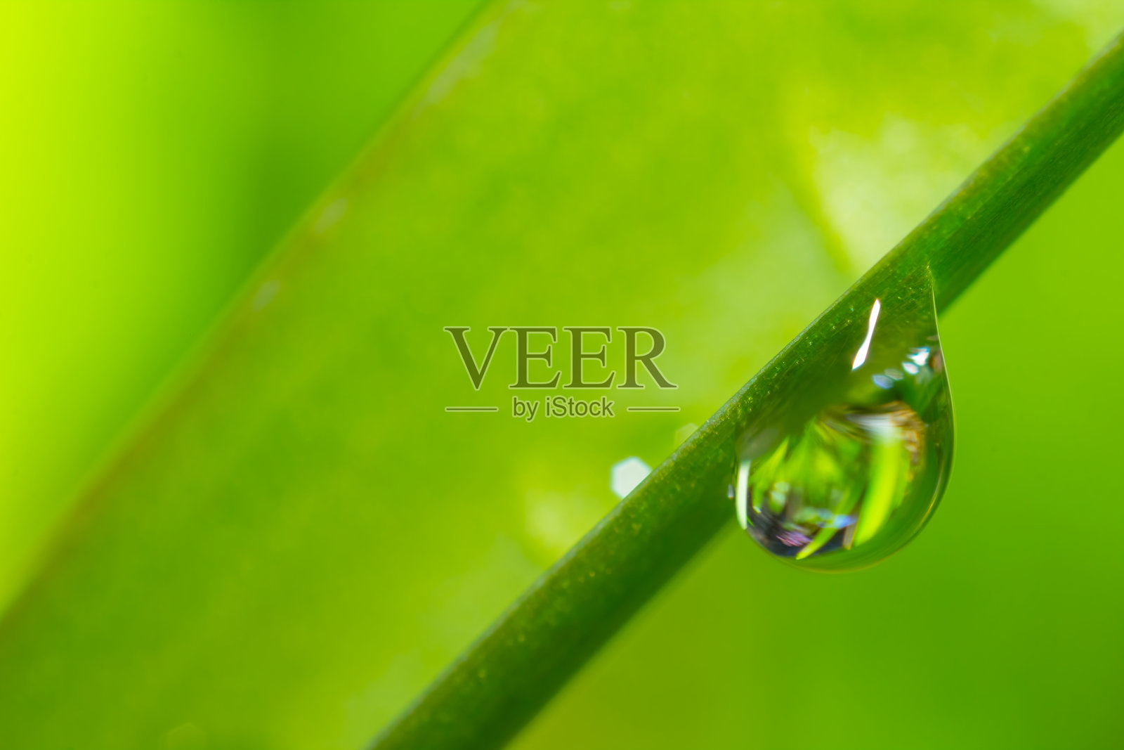 特写水滴在一片绿叶上，微自然的背景照片摄影图片