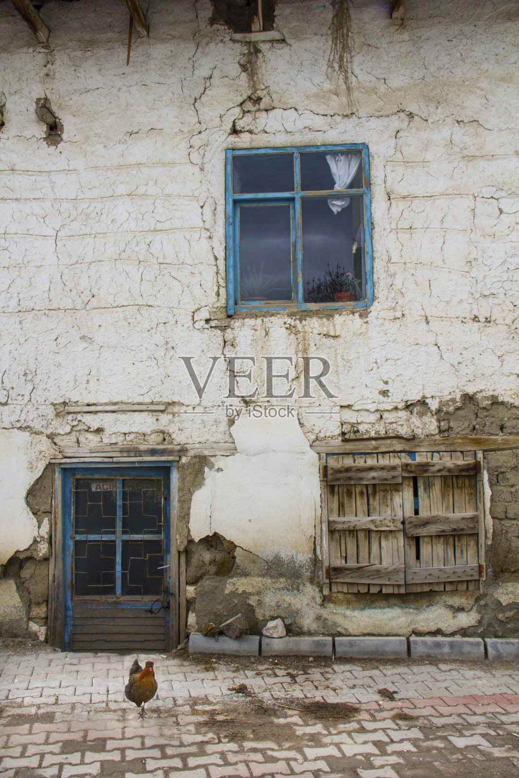 鸡在旧的绿色木门和窗户的房子前面吃东西。照片摄影图片