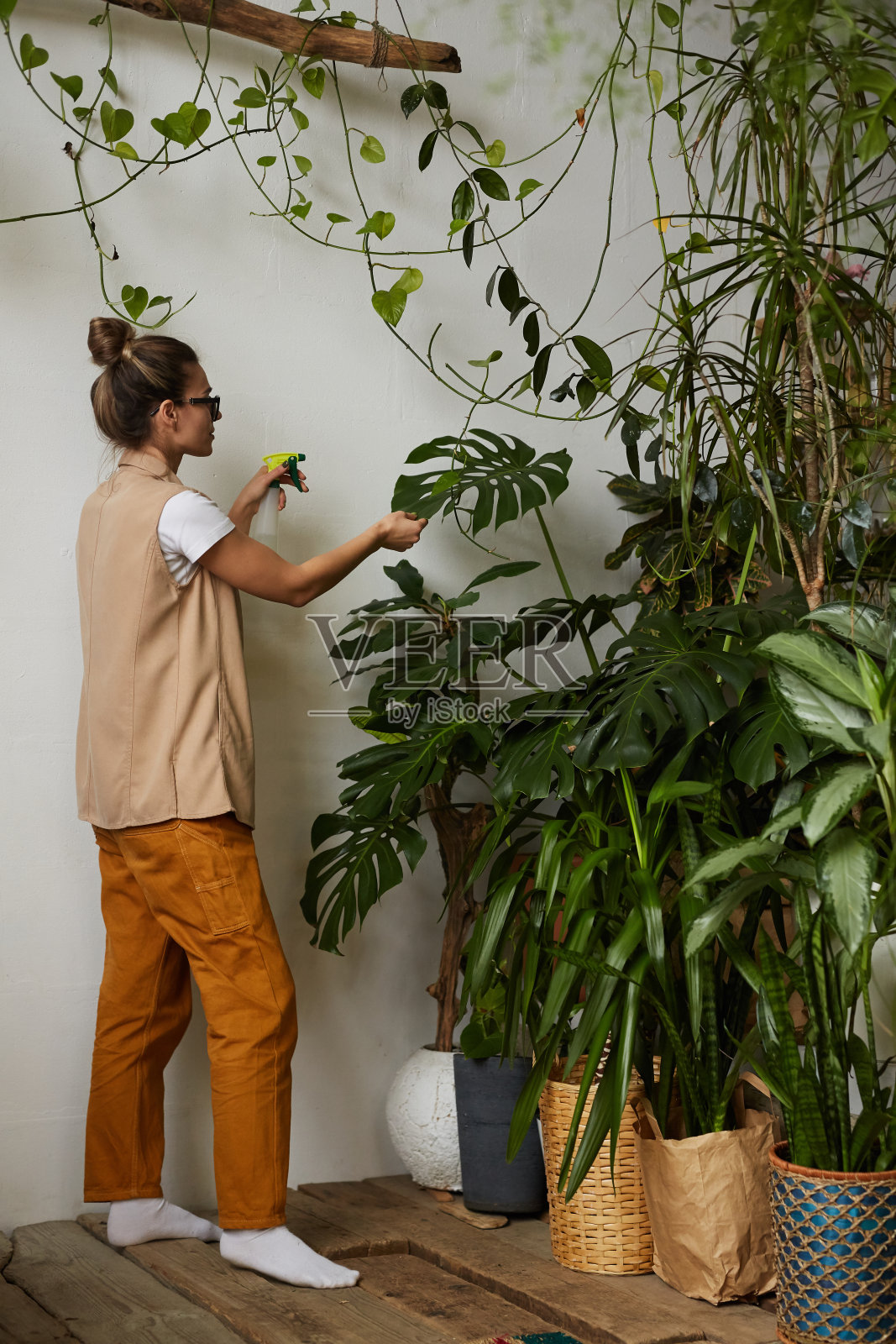 女人照料她的花园照片摄影图片