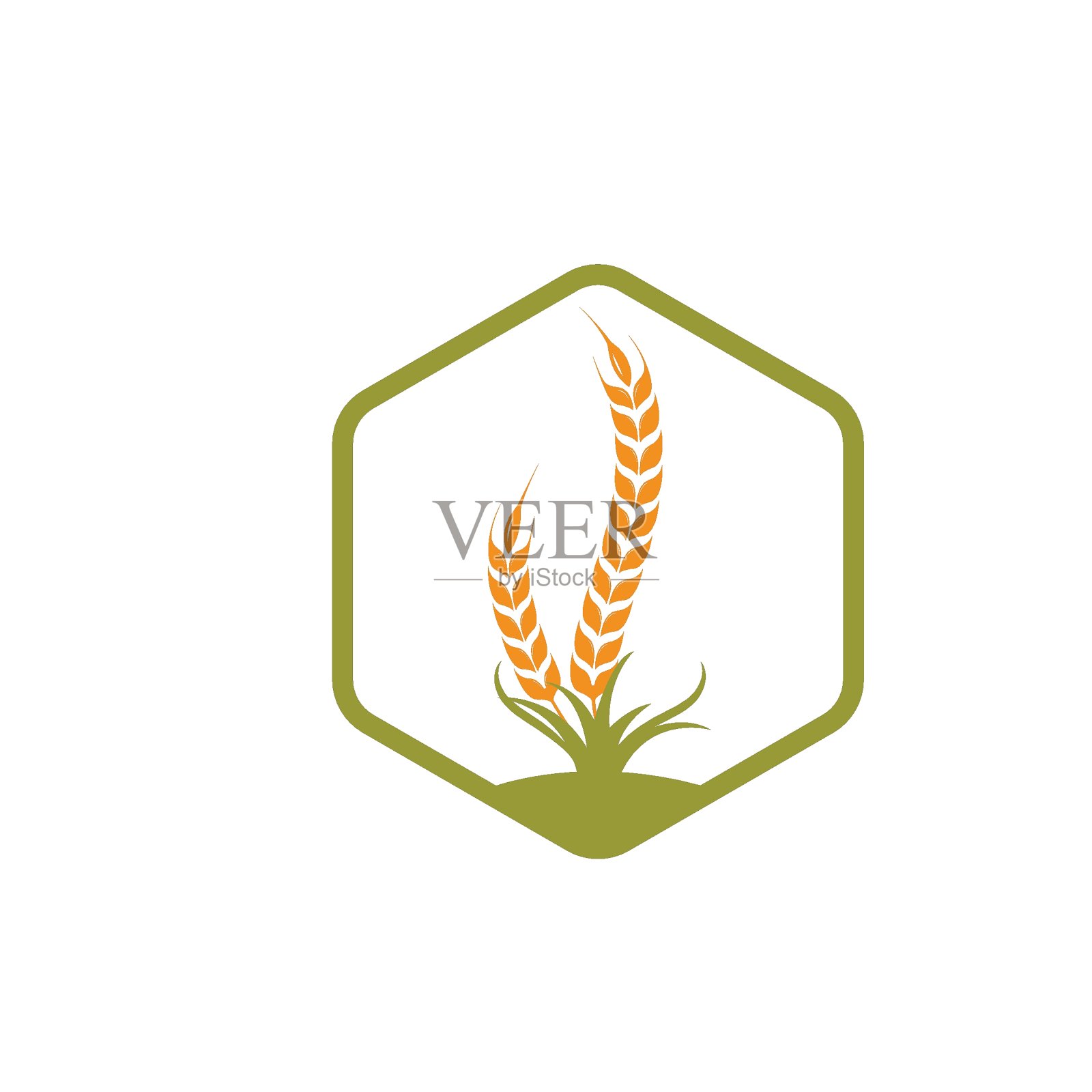 农业小麦矢量图标插画设计插画图片素材