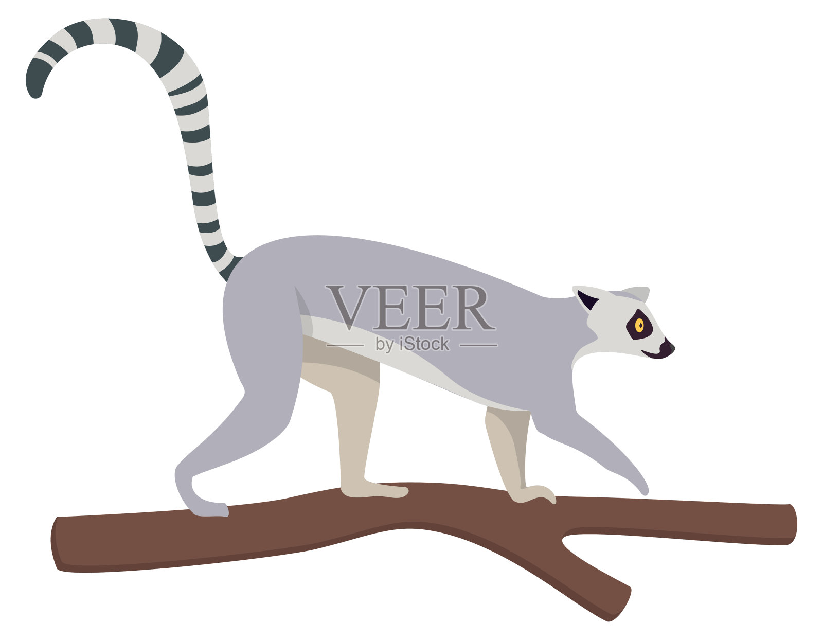 狐猴爬上树。插画图片素材