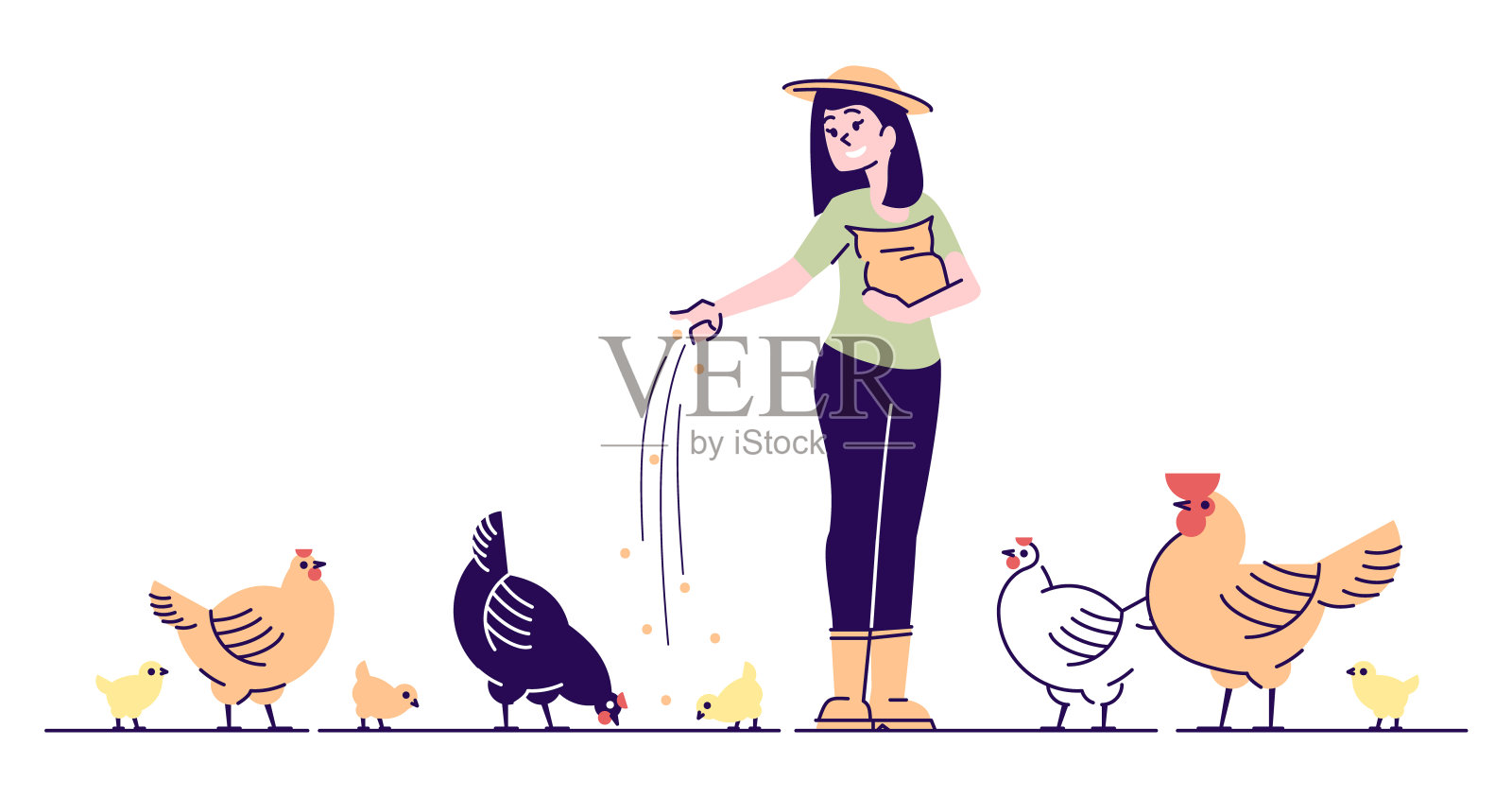 养殖户饲养的鸡呈扁平病特征。家禽后院农场卡通概念与大纲。母鸡、公鸡和小鸡在啄谷粒。家禽养殖、农村养鸡场、禽鸟农业插画图片素材