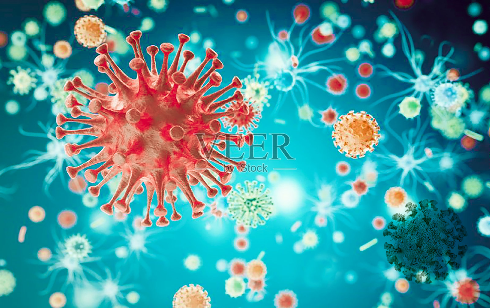 一种病毒照片摄影图片