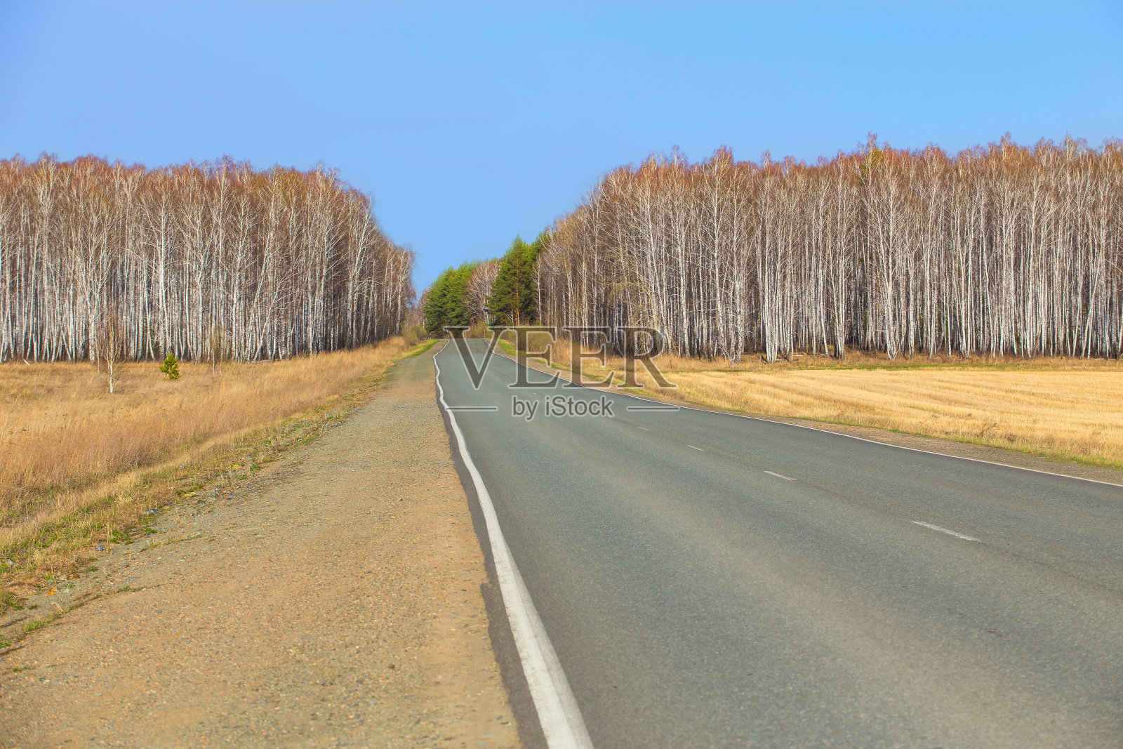 空旷的乡村道路，周围是长满干草的田野照片摄影图片
