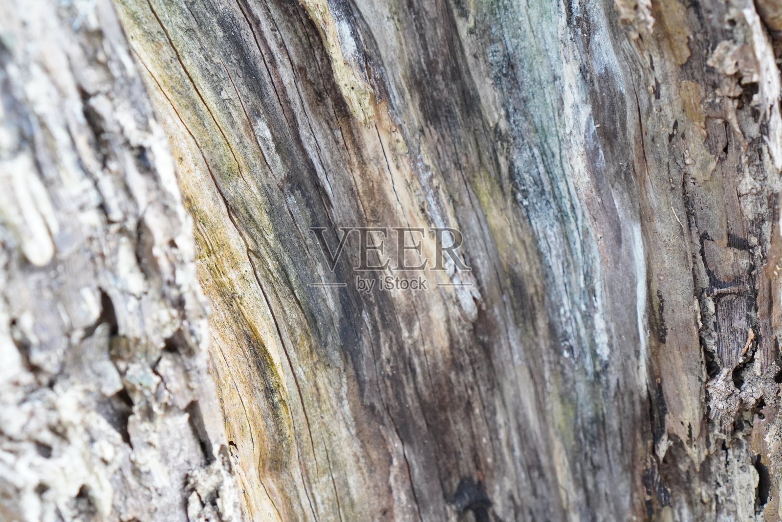 木模照片摄影图片