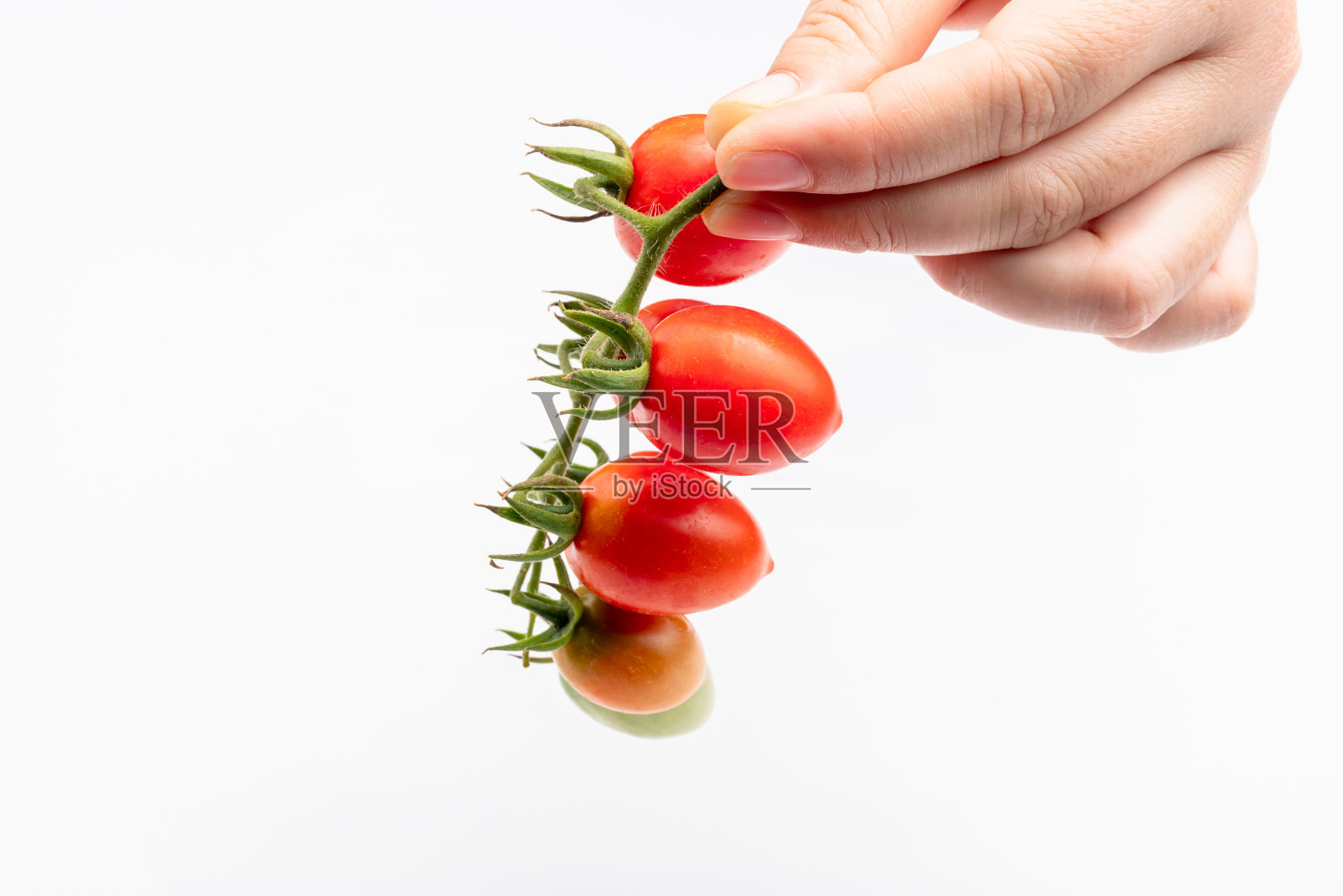 在餐桌上拿着西红柿和成熟的樱桃西红柿。照片摄影图片