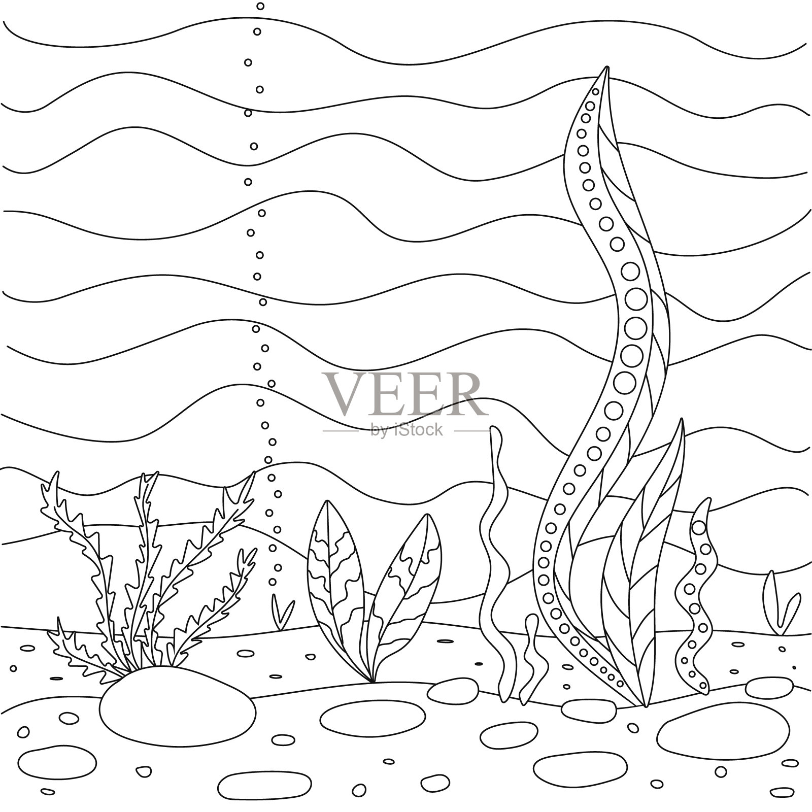 矢量插图与海藻，海底。简单有趣的儿童绘画。可爱的儿童涂色书。插画图片素材