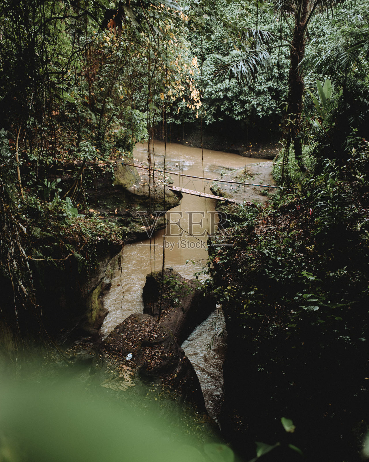 森林河流照片摄影图片