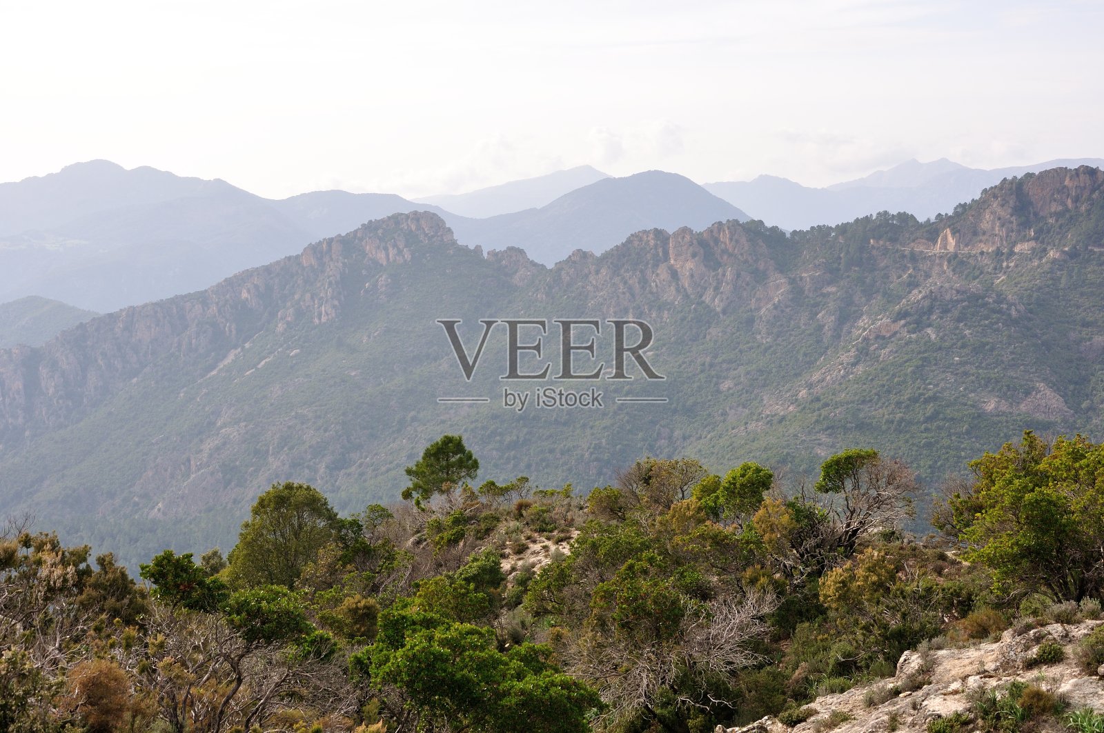 保护和预防手段照片摄影图片