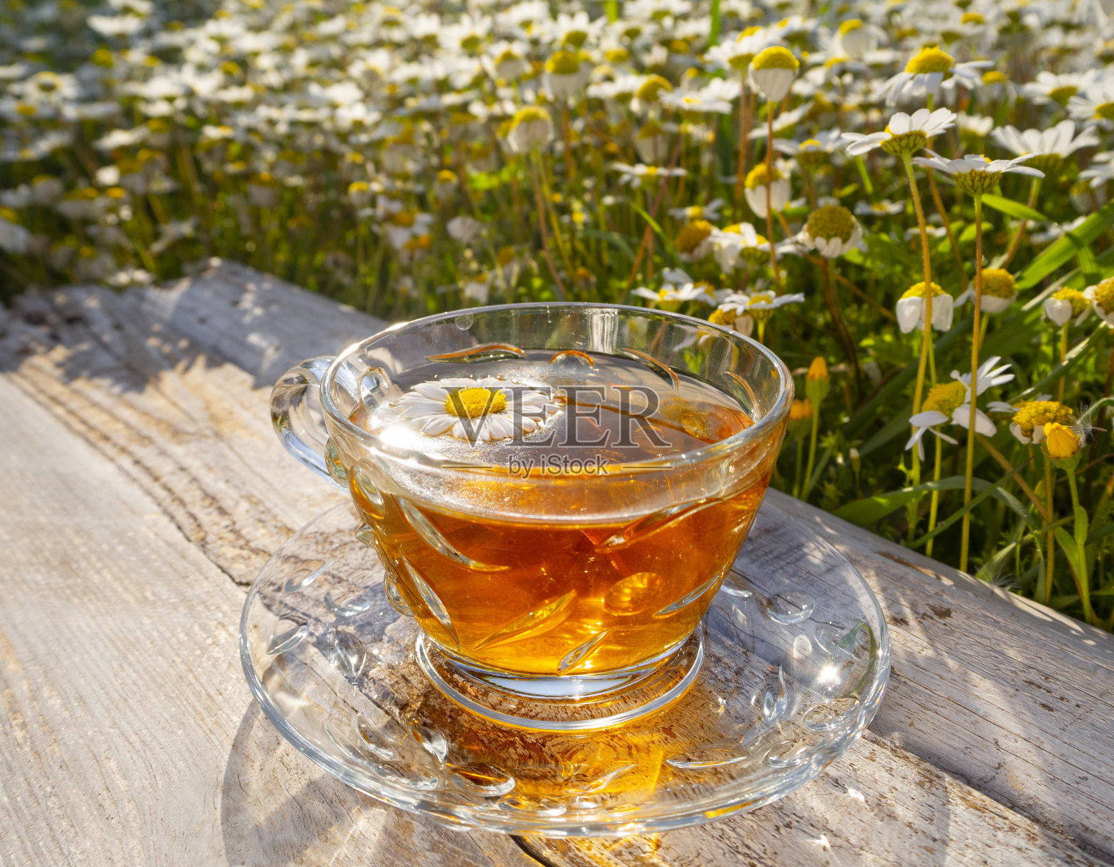 美丽的玻璃茶杯，甘菊茶放在木桌上，盛开的雏菊在希腊夕阳的余晖中照片摄影图片