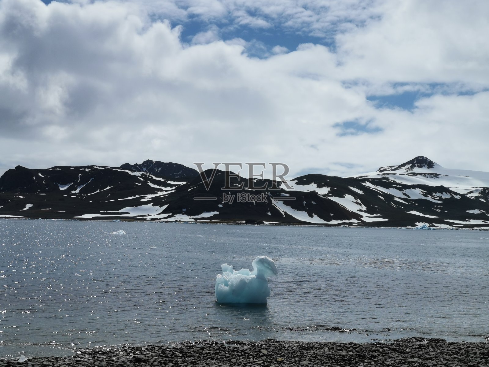 冰冷的天鹅照片摄影图片