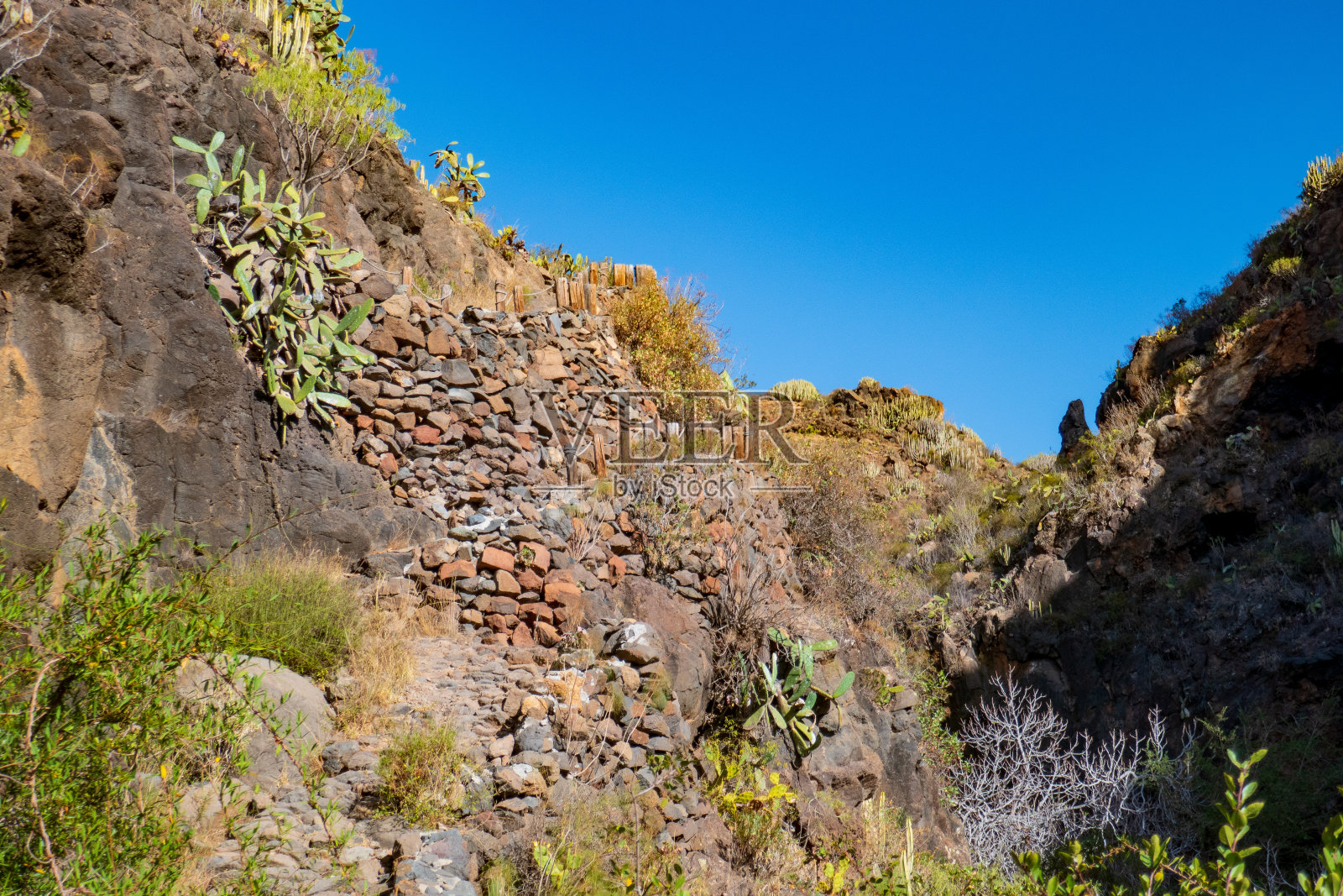 西班牙特内里费岛的夏季山地景观照片摄影图片