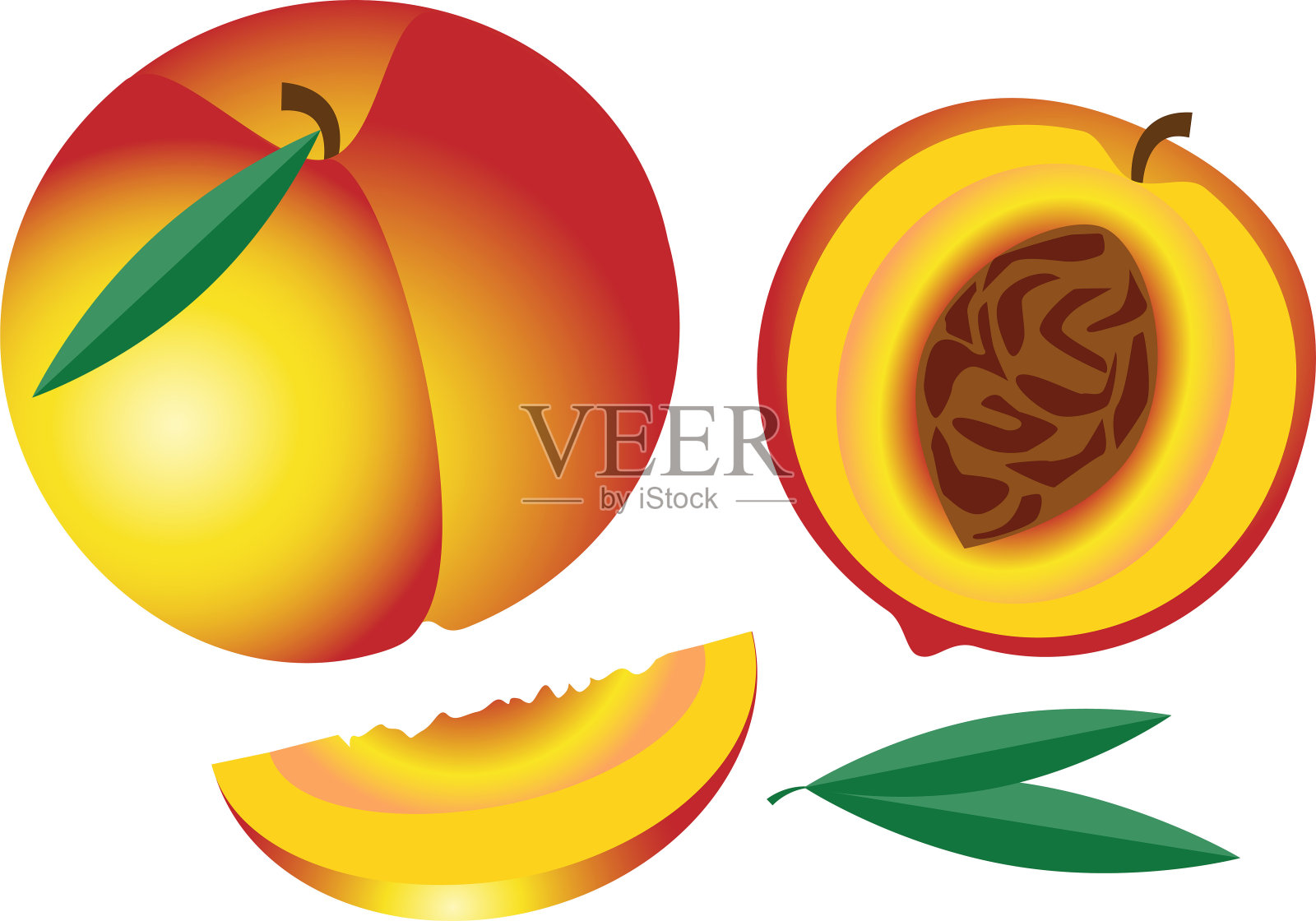 令人垂涎的桃子，橙色，黄色，矢量图像插画图片素材