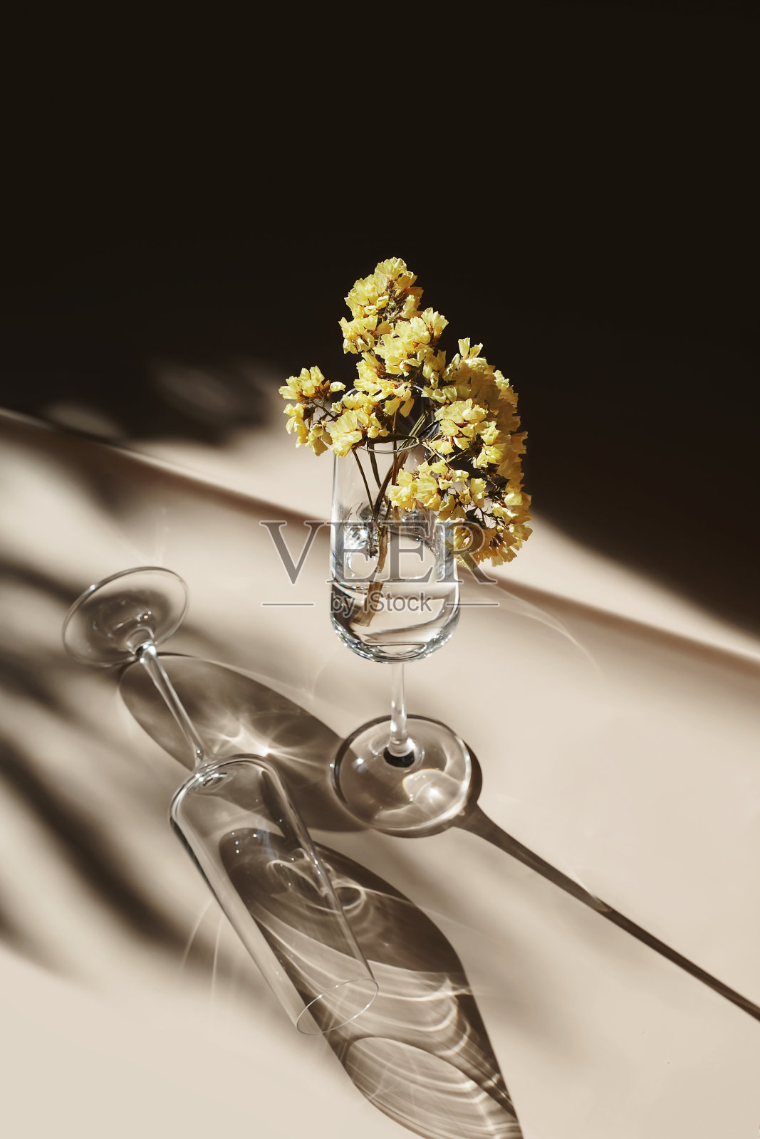 黄色的柠檬花装在香槟杯里照片摄影图片