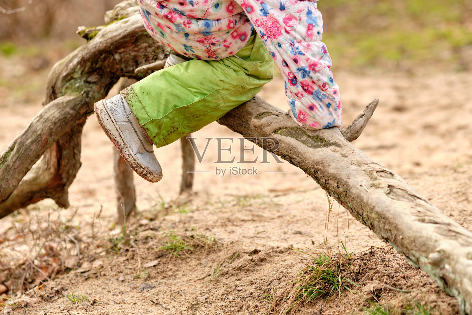 小女孩爬过树根的低段照片摄影图片