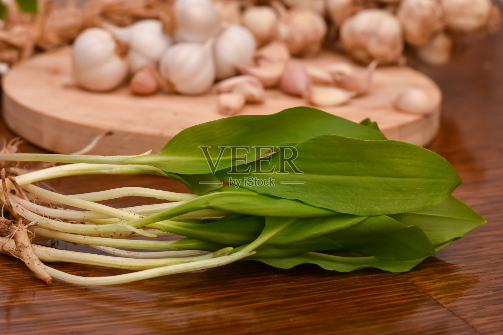 野生熊葱大蒜照片摄影图片