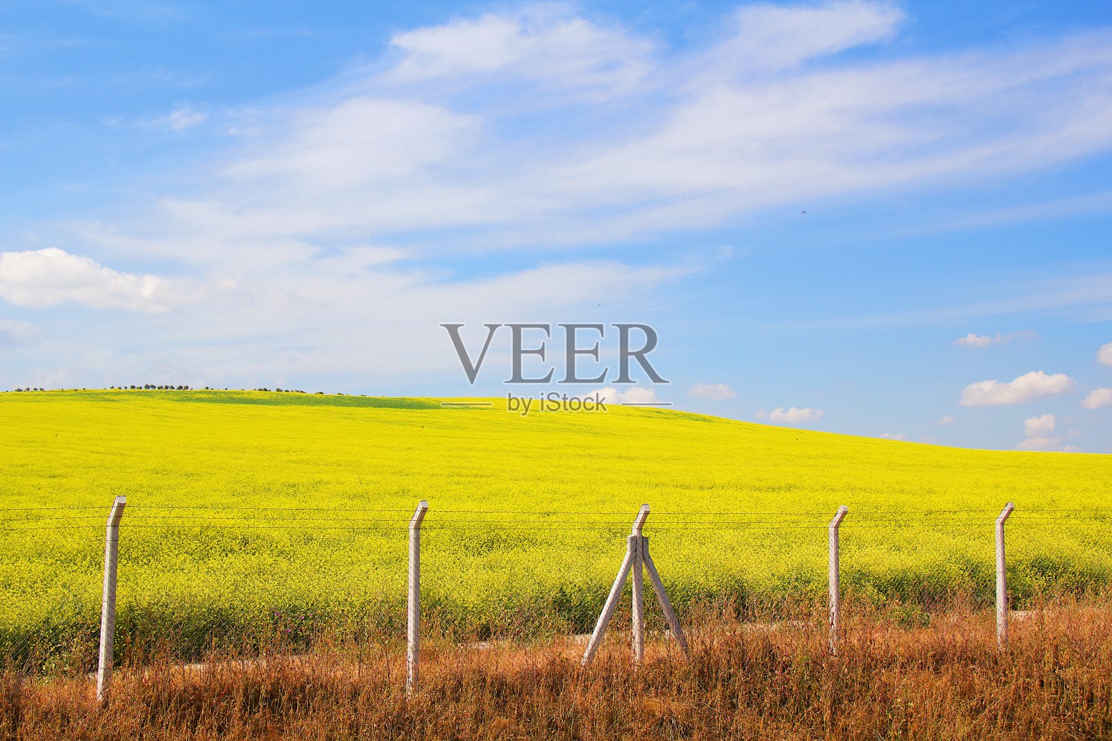 美丽的蓝天和绿色的山背景。照片摄影图片