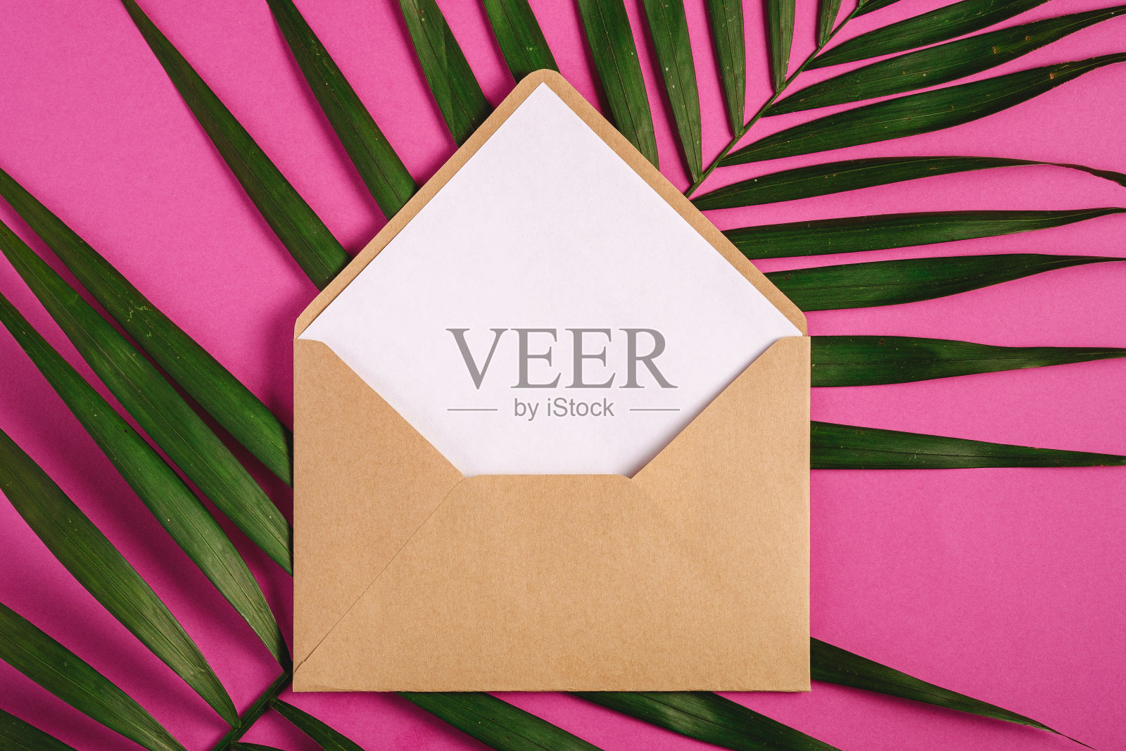 牛皮纸信封与白色空卡棕榈叶，粉紫色的背景，原型空白信照片摄影图片