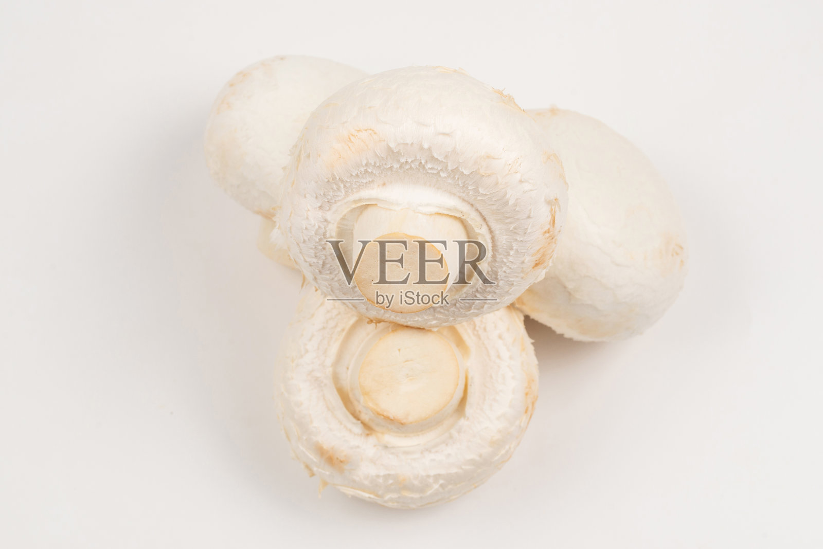 隔离在白色背景上的香槟蘑菇。照片摄影图片