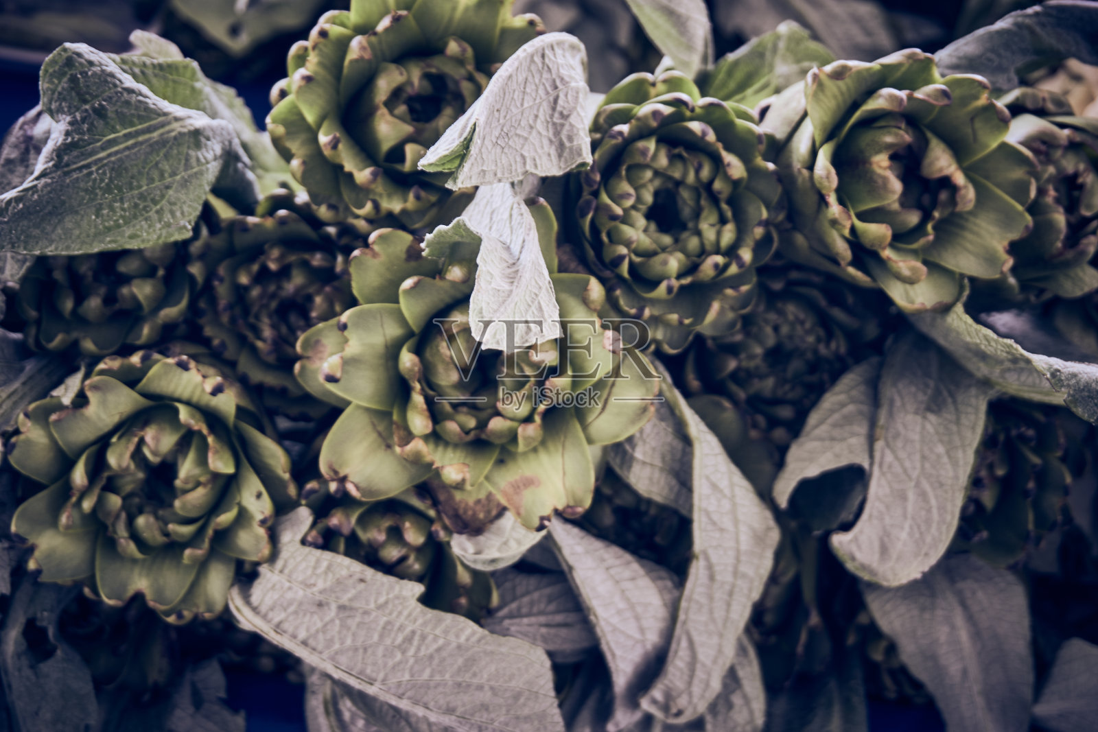 本地市场的新鲜有机洋蓟照片摄影图片