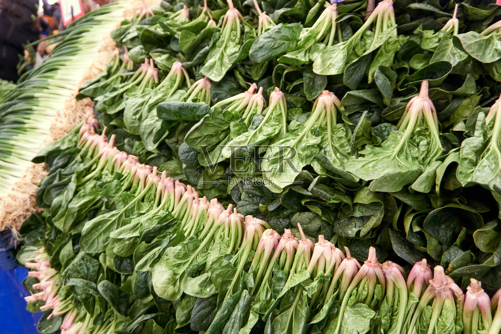 本地市场的新鲜有机菠菜照片摄影图片