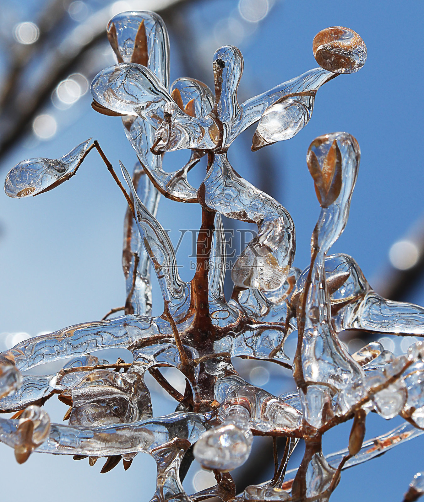 冰滴照片摄影图片