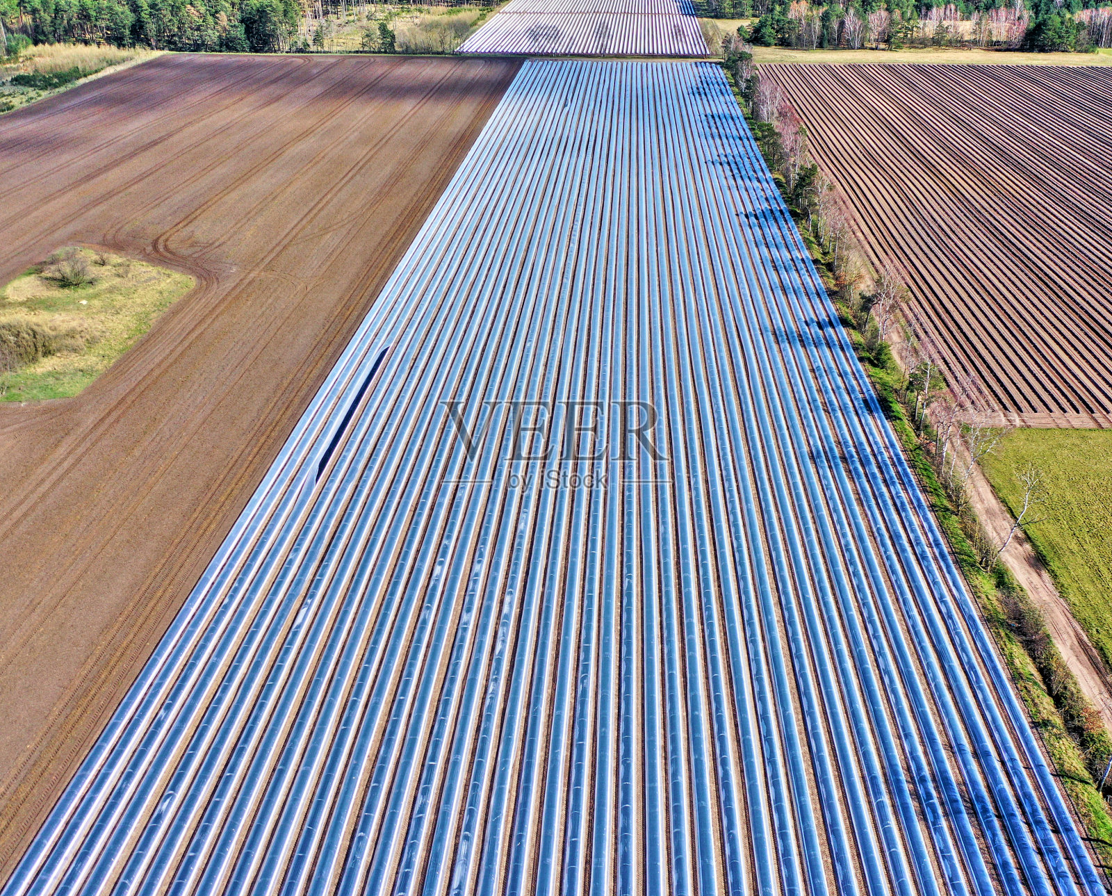 鸟瞰图的芦笋田与箔覆盖照片摄影图片