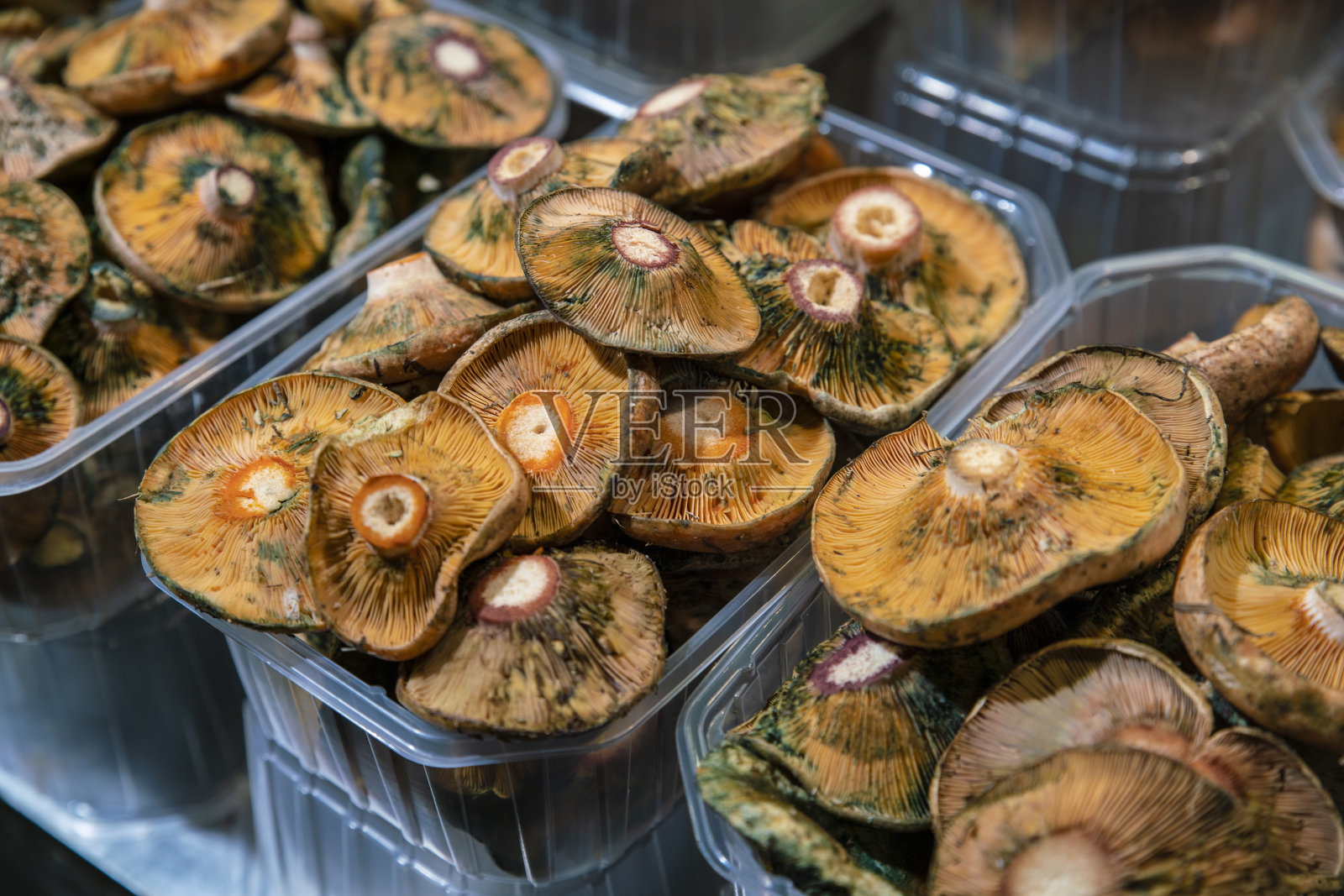 梅尔卡多波基亚市场的蘑菇照片摄影图片