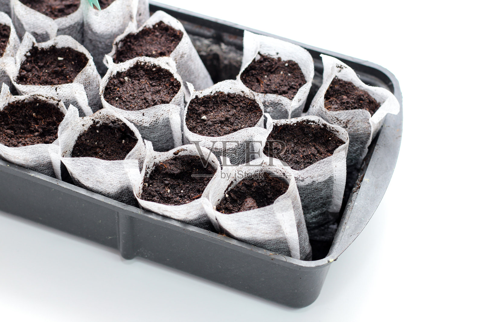 白色编织袋与土壤在黑色塑料容器与白色背景。孤立的苗木在地面发芽过程。名牌在泥土里。照片摄影图片