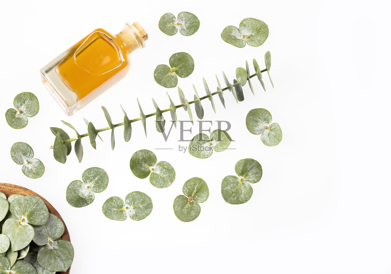 桉树精油在玻璃瓶照片摄影图片