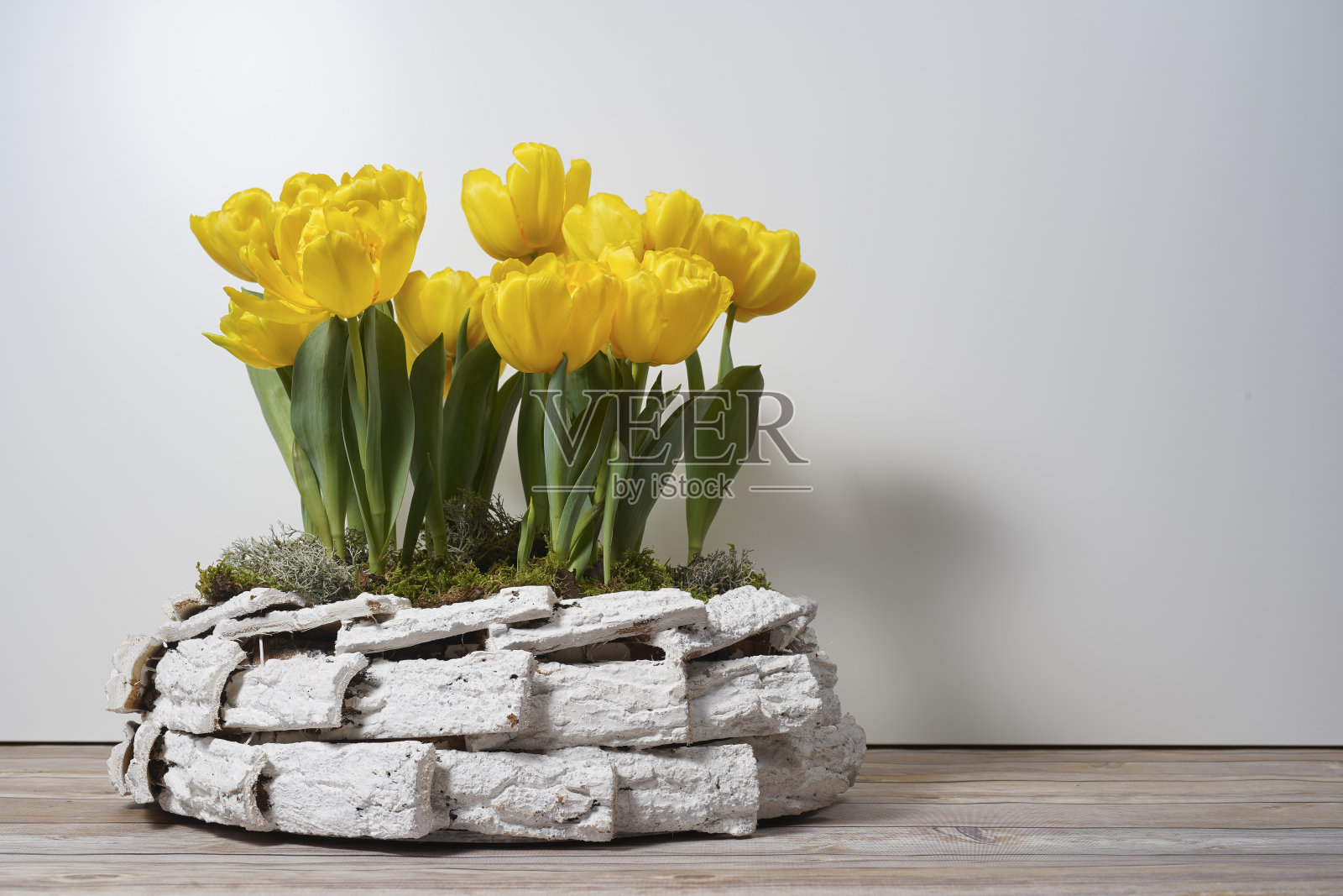 在花瓶里种了一束黄色郁金香。黄色郁金香花作为妇女节礼物。照片摄影图片