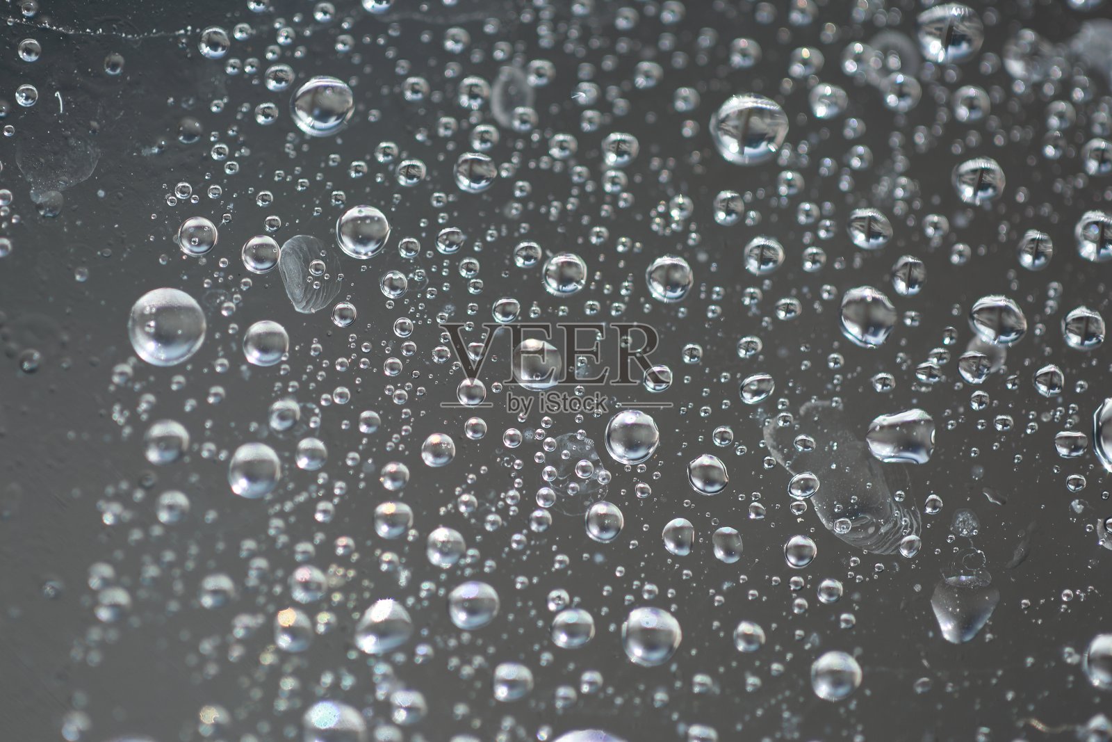 阳光下瞬间的精华照片摄影图片