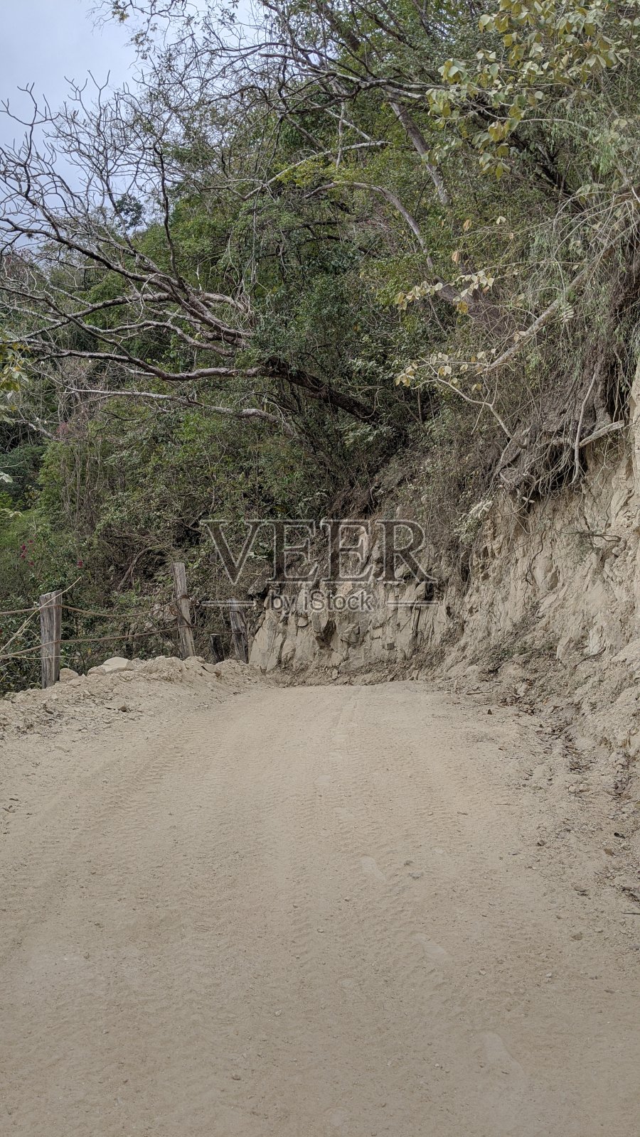 在墨西哥森林徒步旅行(图22)照片摄影图片