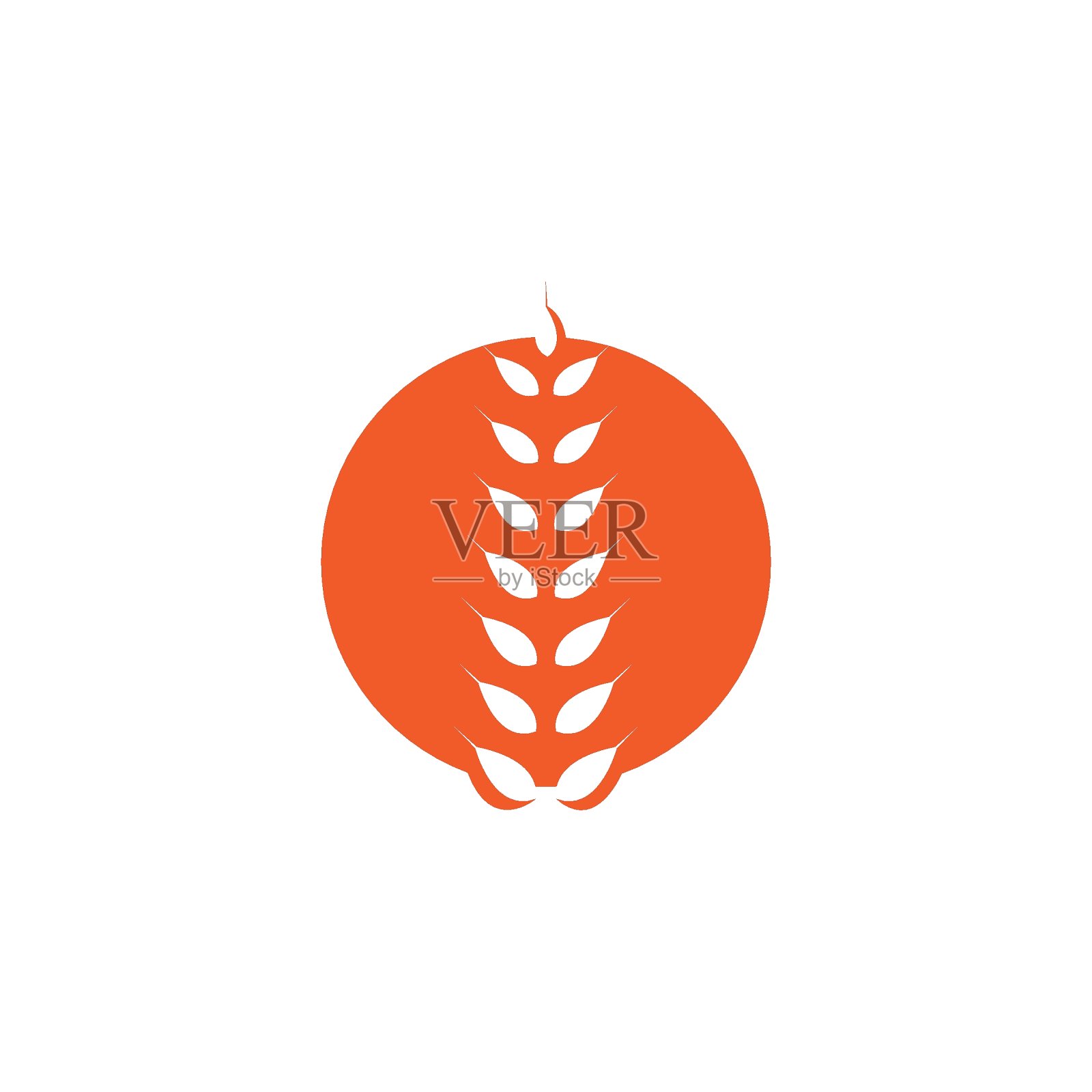 小麦标志模板矢量插画图片素材