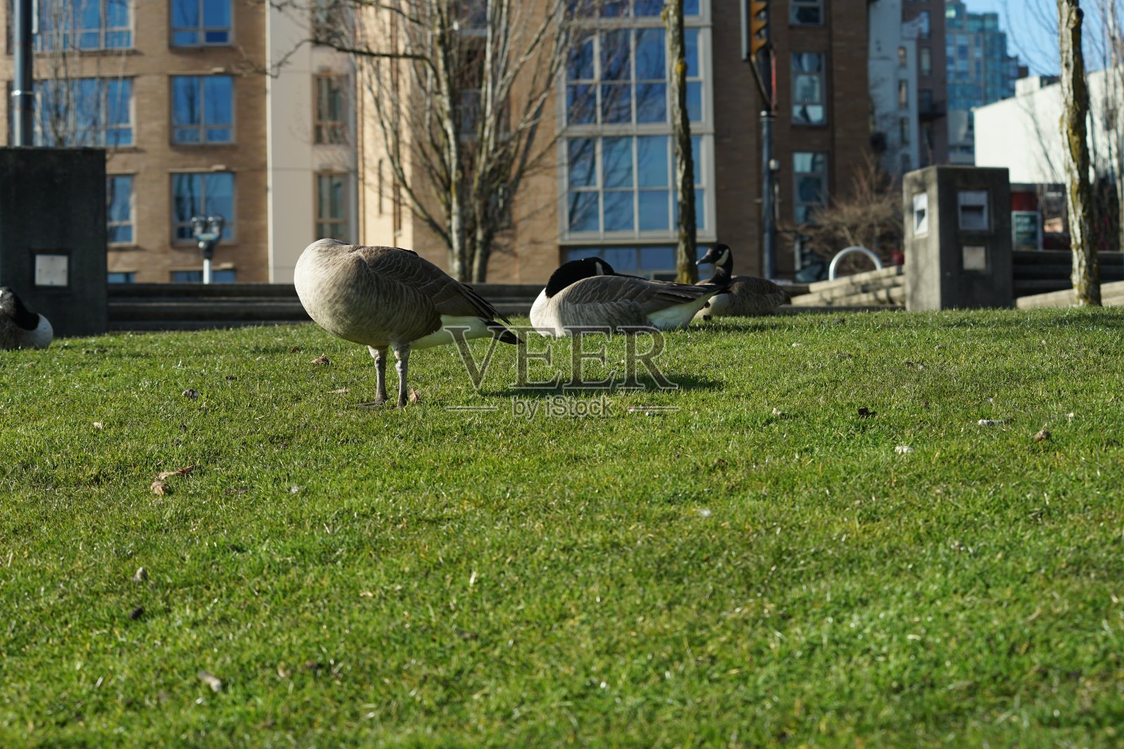 别担心，开心点!照片摄影图片