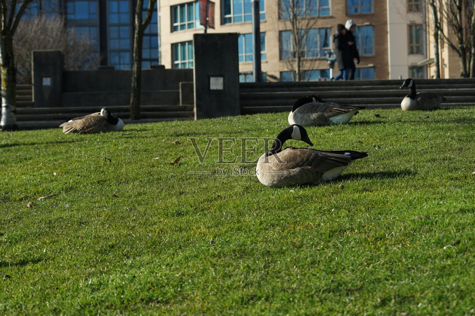 别担心，开心点!照片摄影图片