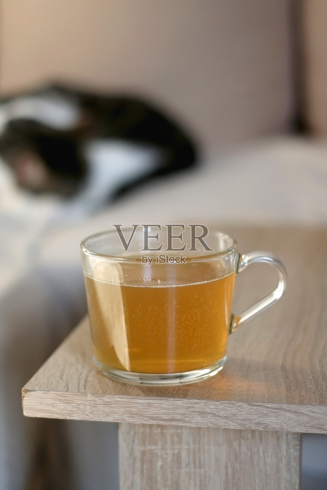 茶和猫照片摄影图片